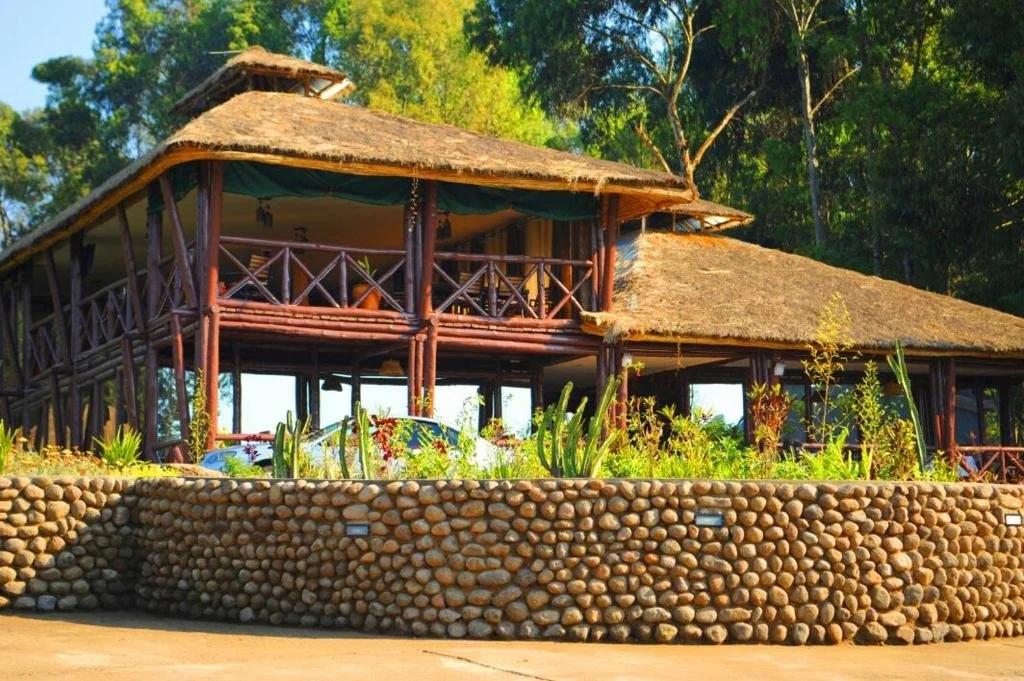 Da Vinci Gorilla Lodge .jpg