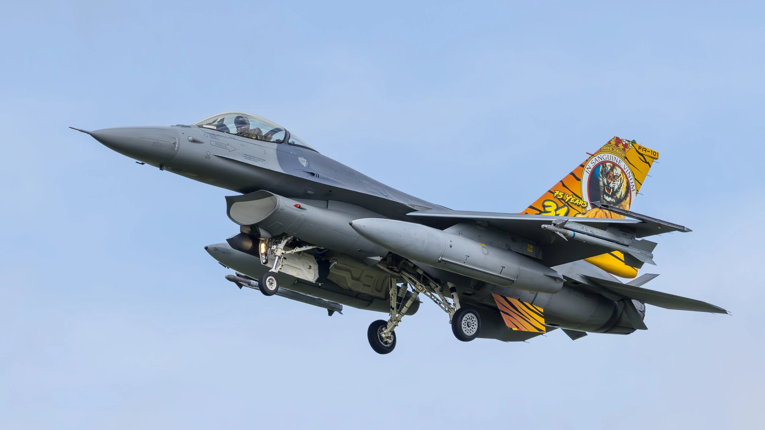Belgian Air Force F-16A FA-101 makes its first flight in a new 31 Squadron tiger scheme celebrating 75 years in the NATO Tiger Association at Kleine-Brogel Air Base.
