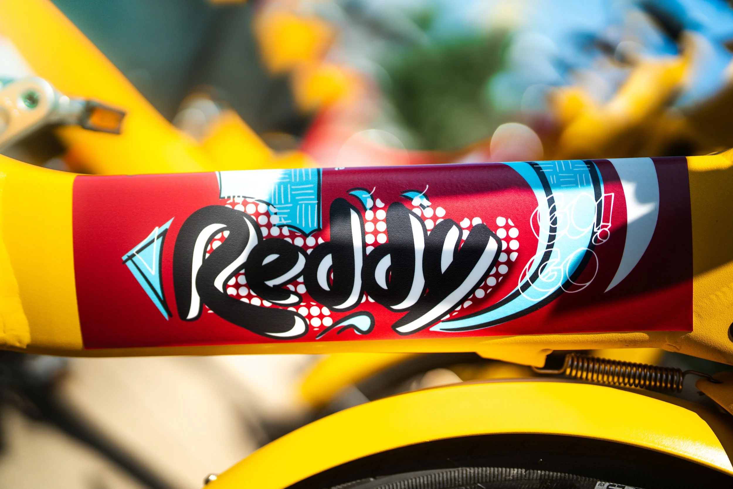 Reddy Bike Project Polination-13.jpg