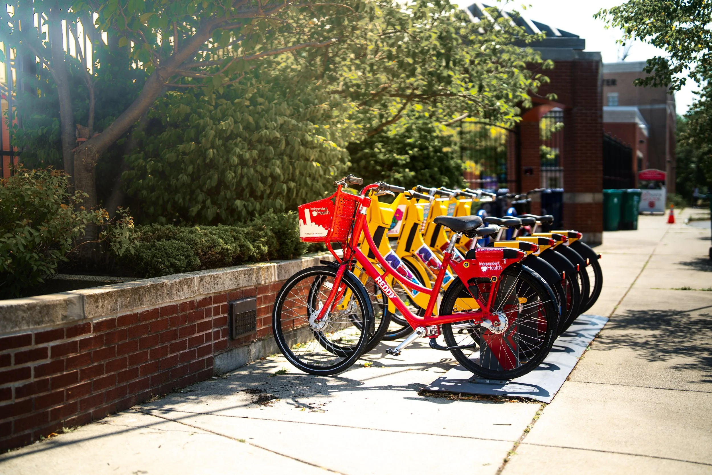 Reddy Bike Project Polination-17.jpg