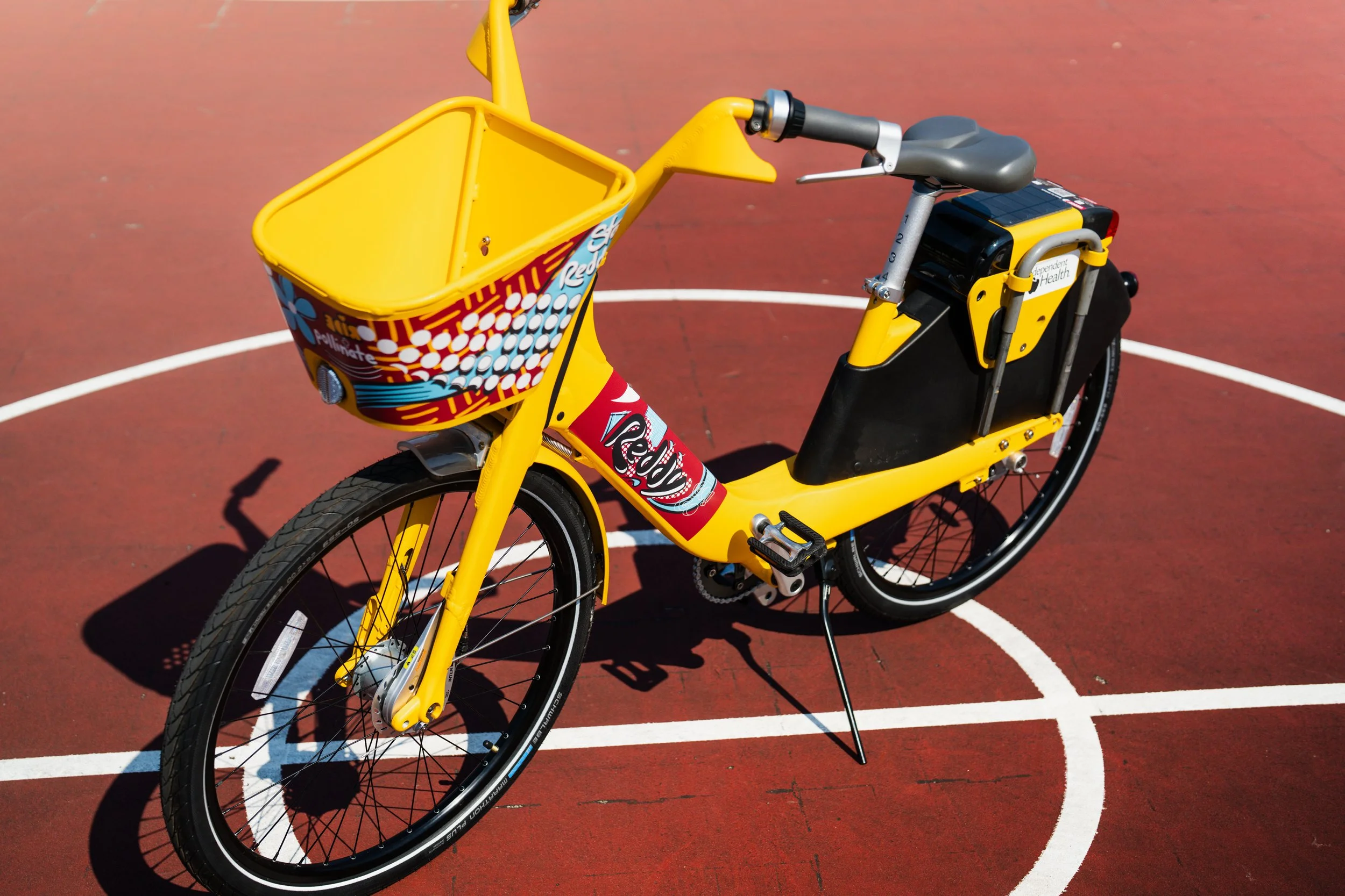 Reddy Bike Project Polination-56.jpg