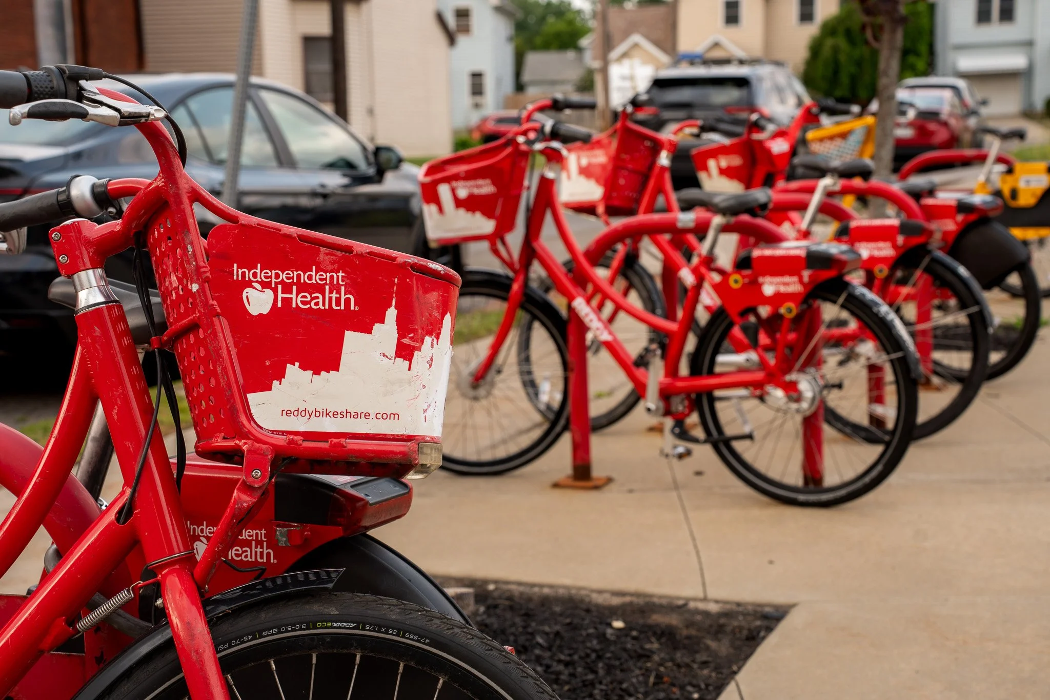DSC06162.jpg