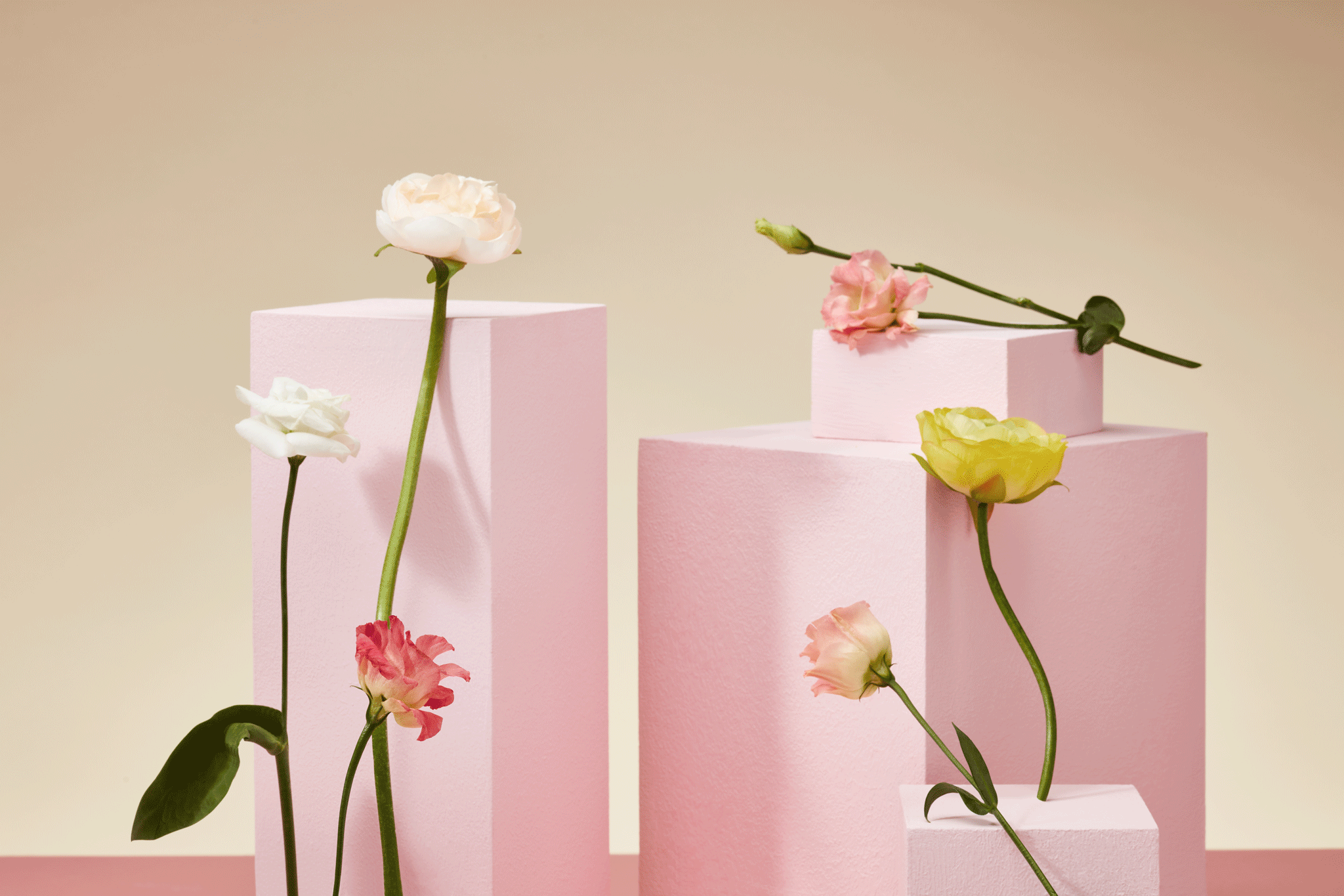 0125_THG0041387_MM_MOTHERS-DAY_SHOT11_Gif.gif
