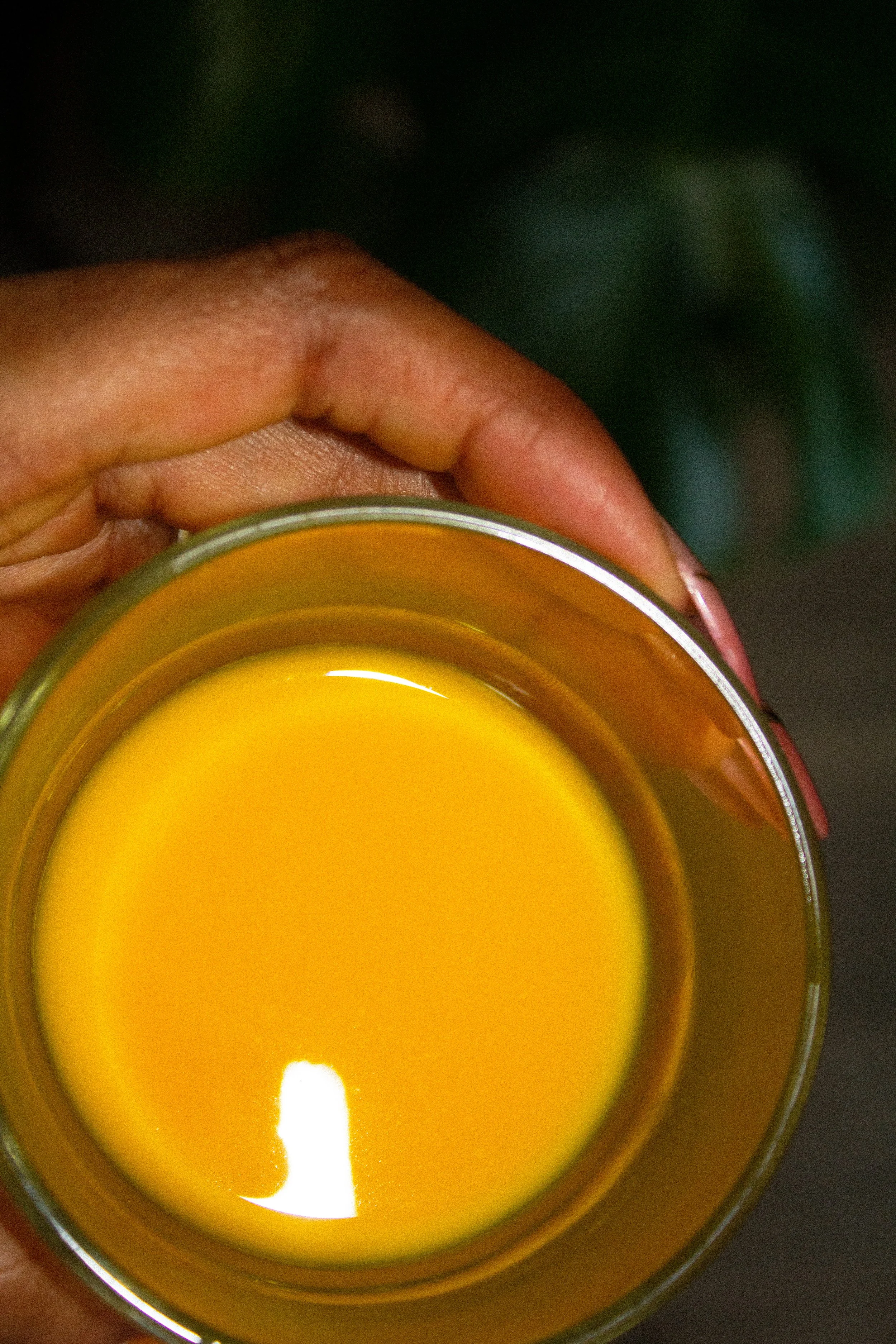 One of My Favorite Daily Rituals for Glowing Skin &amp; Energy