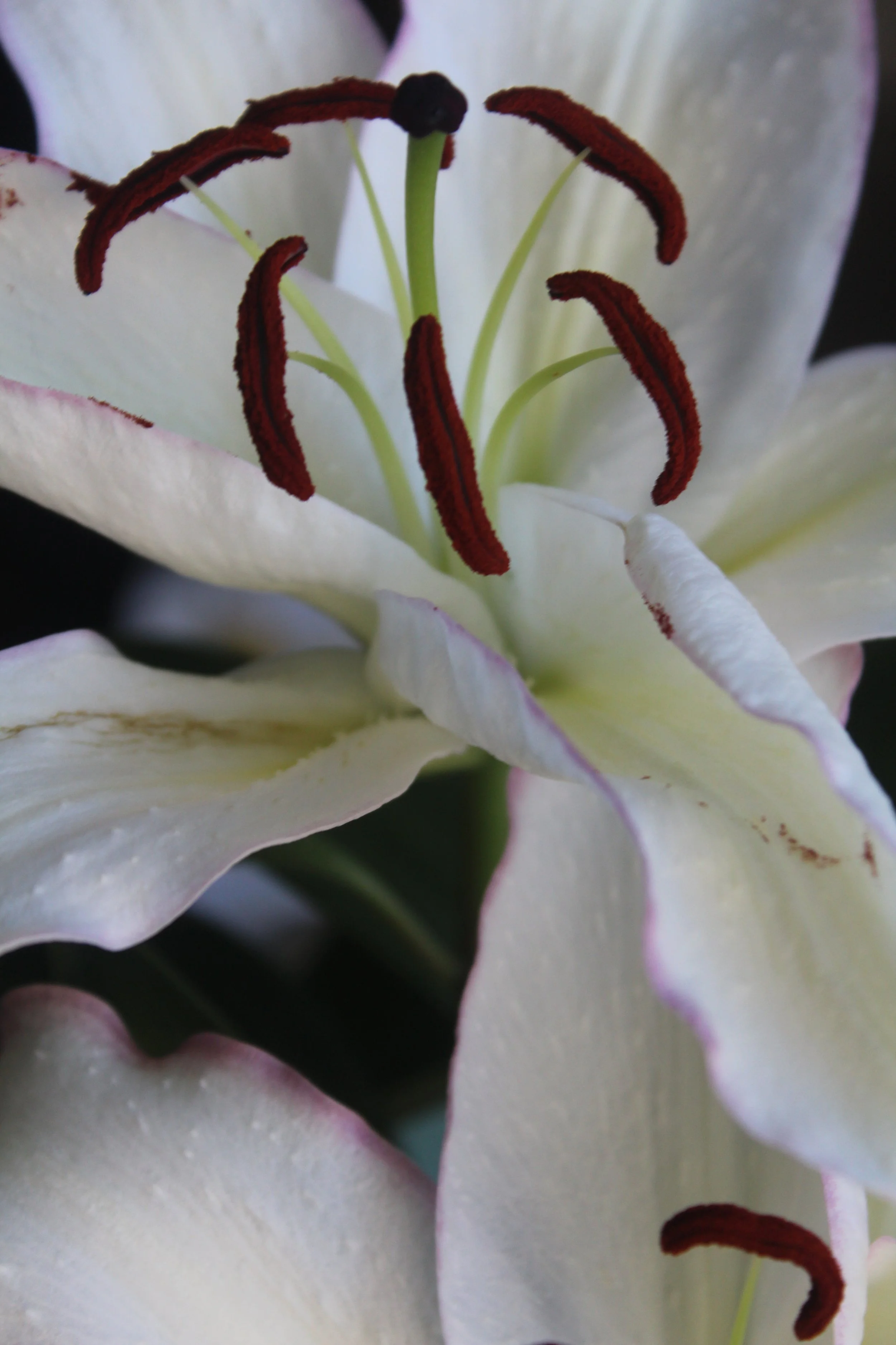 Self-Love Isn’t Always Soft: The Truth About Growth and Healing