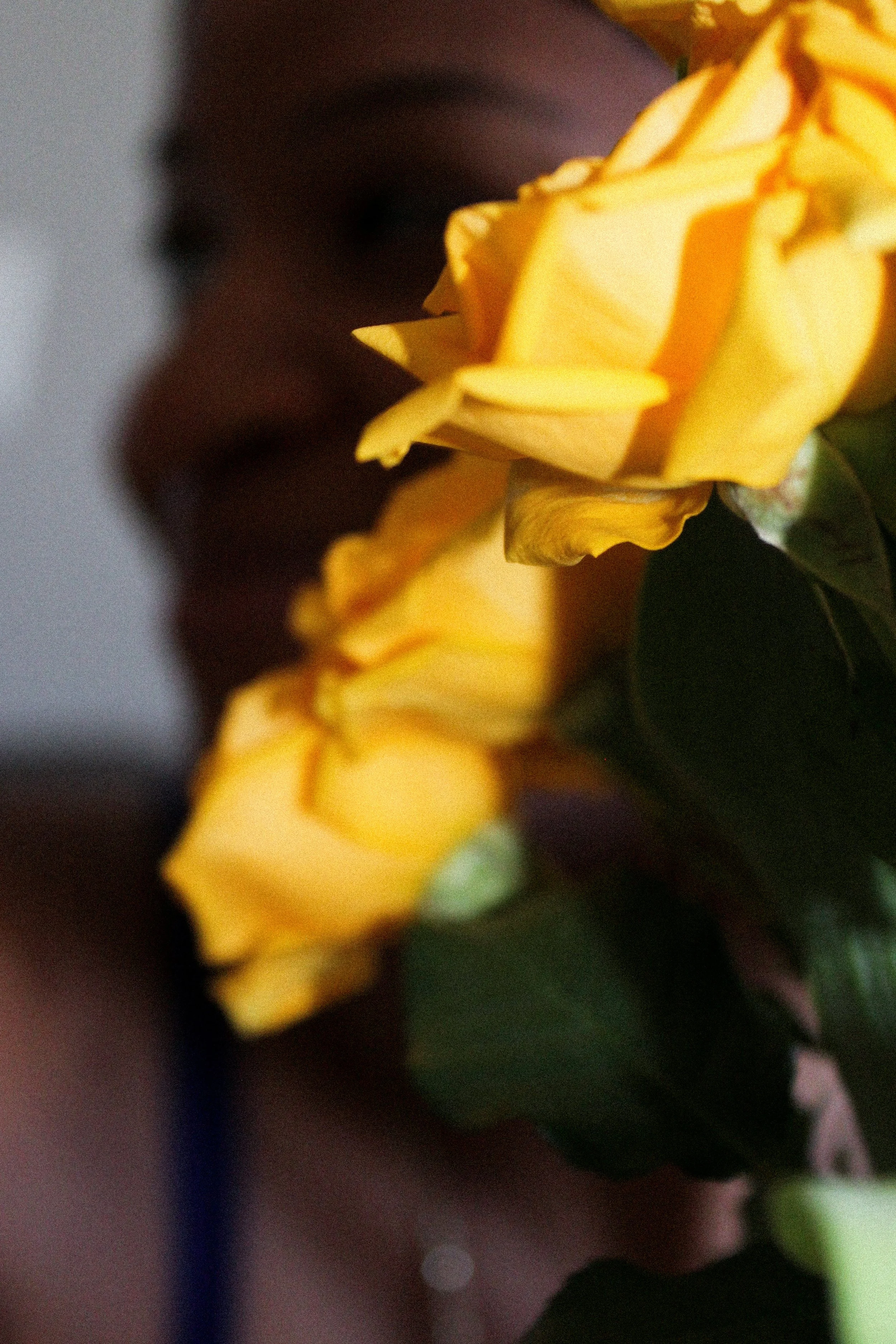 Strengthen Your Solar Plexus and Own Your Presence