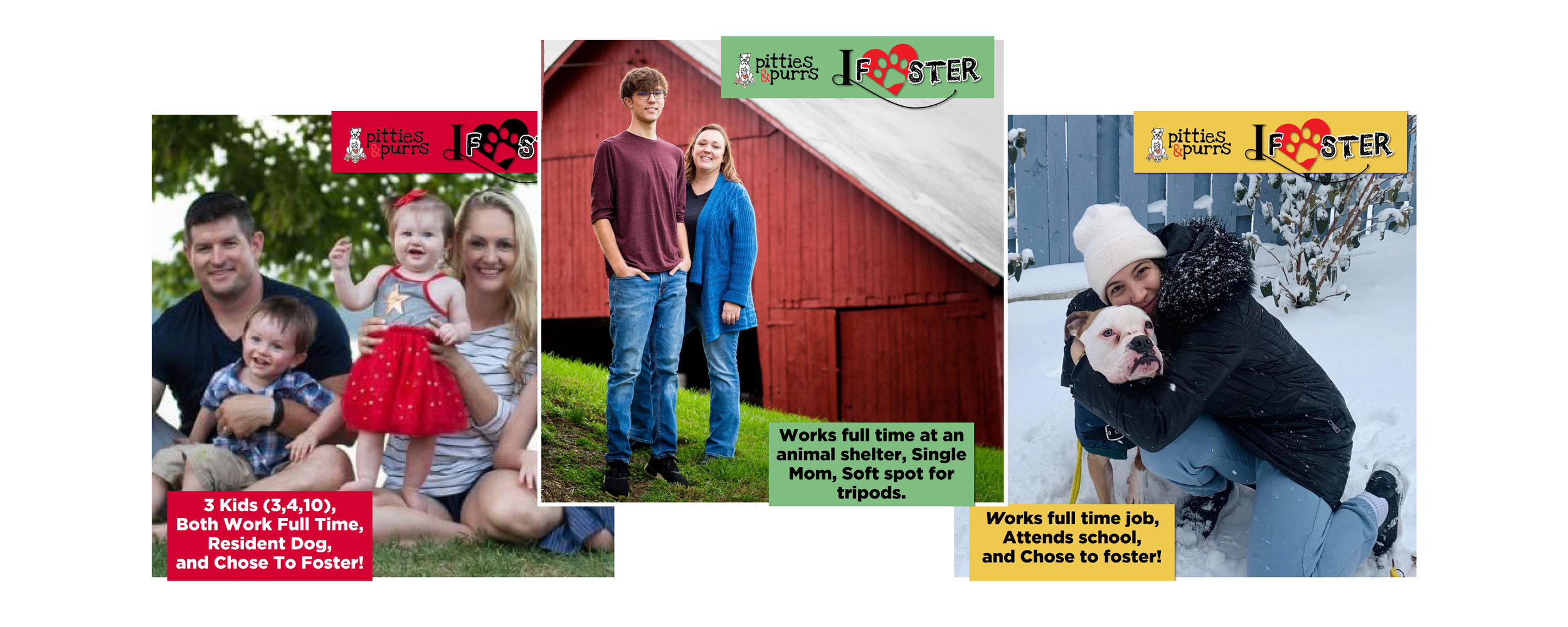 Social Media Campaign