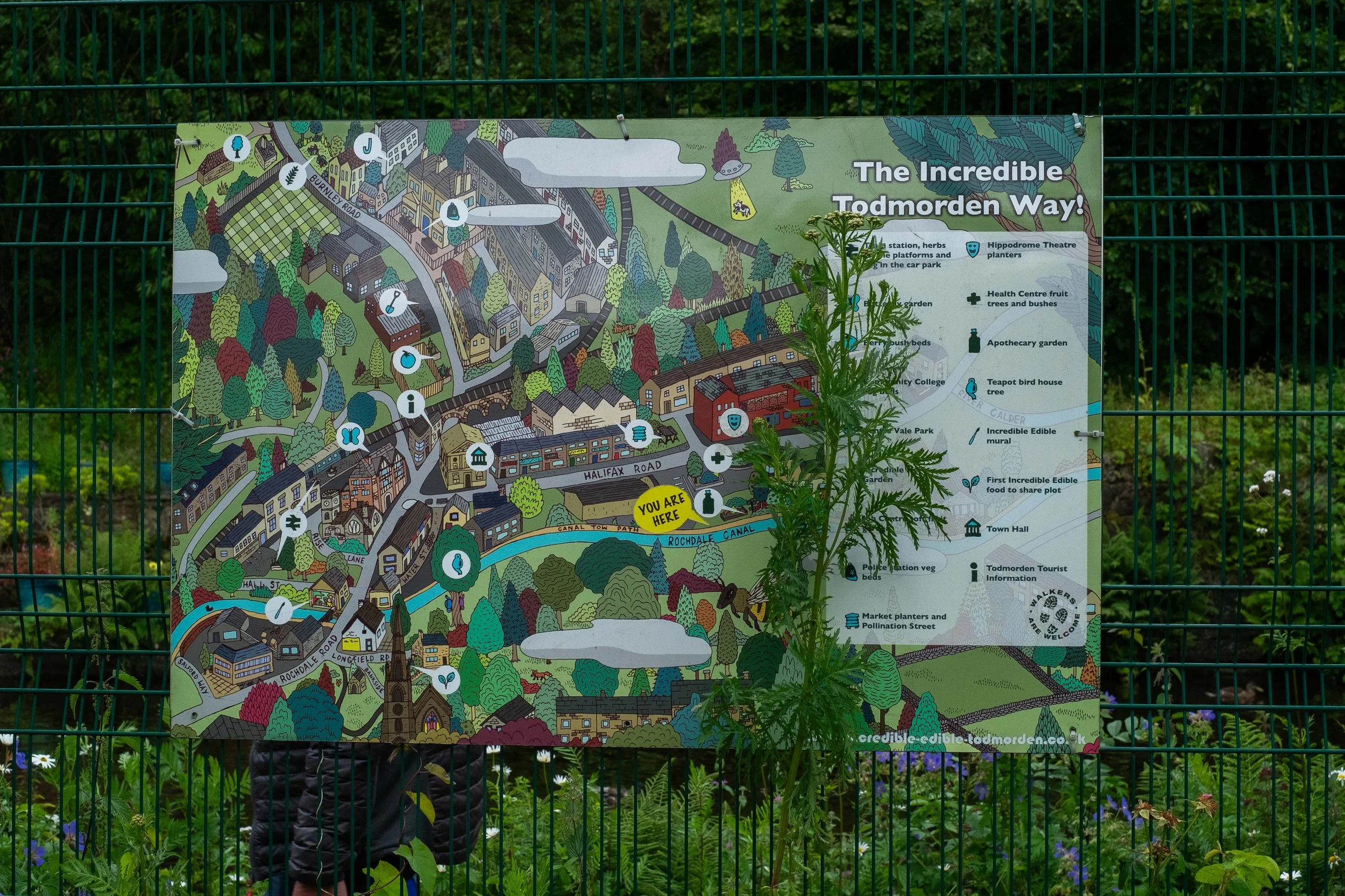 Exploring Incredible Edible Todmorden — Green Meadows