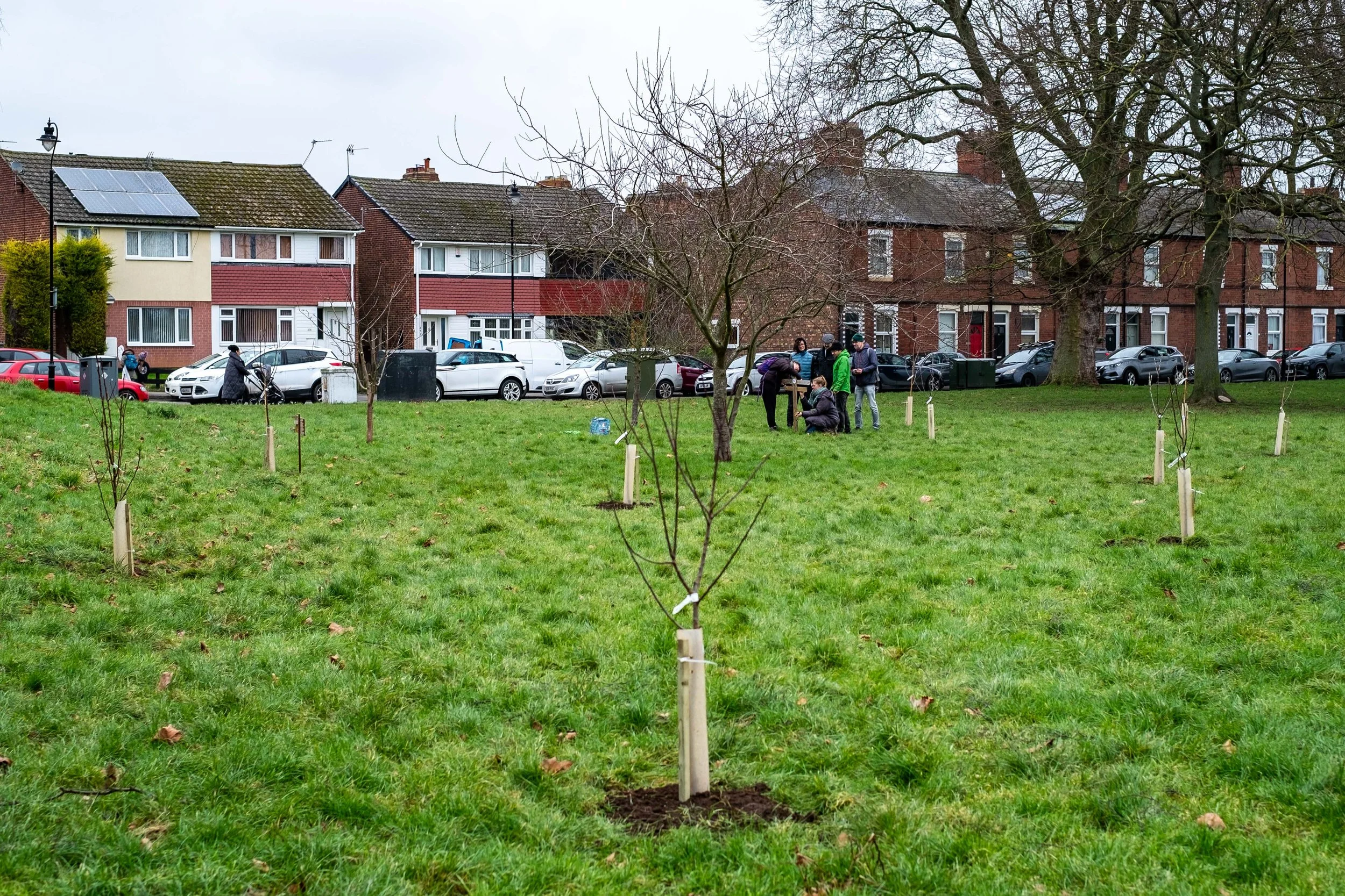 Green Meadows 1st Feb-64.jpg