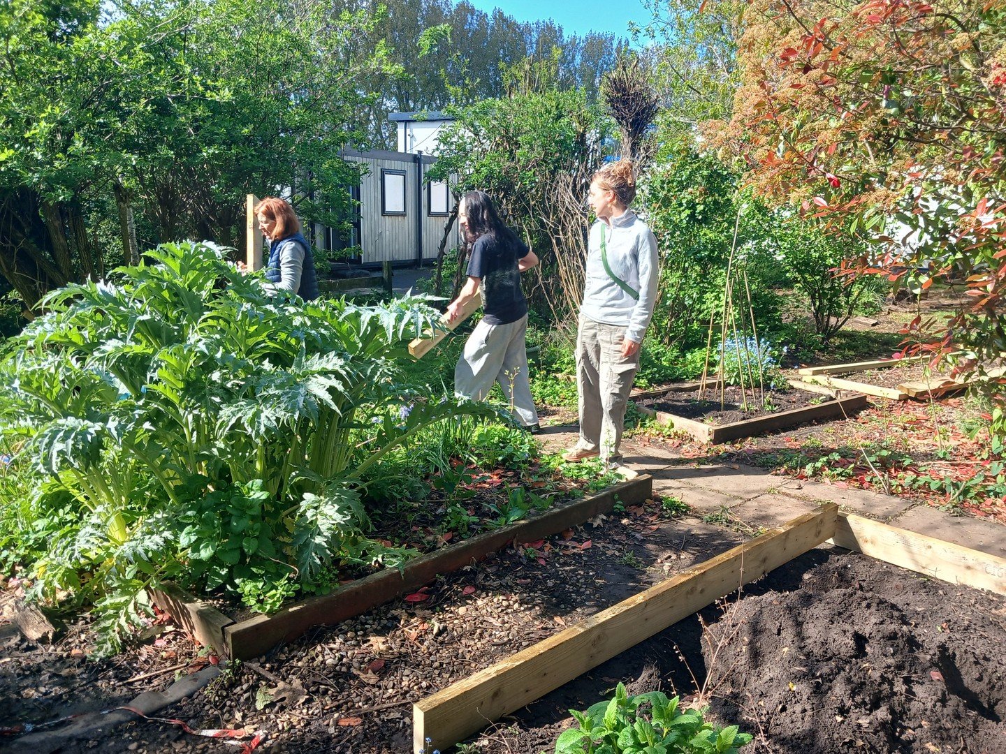 Recap of April's Action Day 💚🌱

We were called in by Jola at Victoria School to help create new raised beds for the children and refresh some older ones, and we were glad to step in.

A slightly chaotic start with half the team at the front and hal