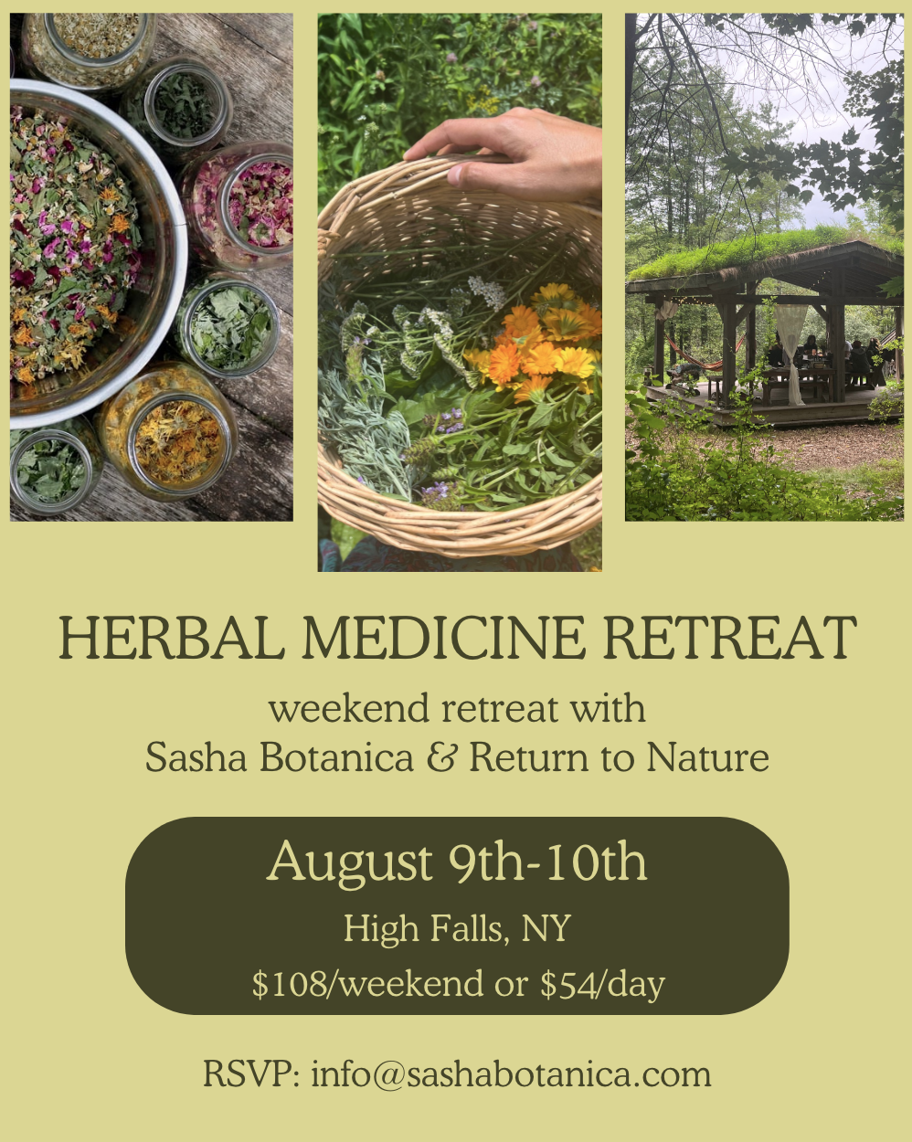 Herbal Medicine Retreat: Weekend Retreat with Sasha Botanica & Return to Nature in High Falls NY