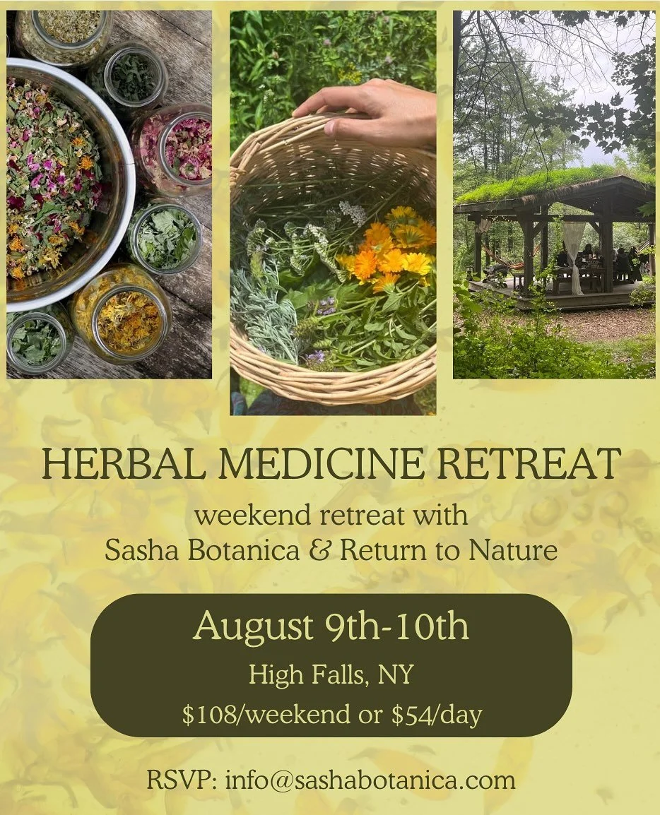 Join @sashabotanica and @returntonature for a weekend retreat in herbal medicine where we&rsquo;ll deepen our understanding of plant energetics and the art of crafting topical remedies.

This retreat centers on constitutional herbalism&mdash;an appro