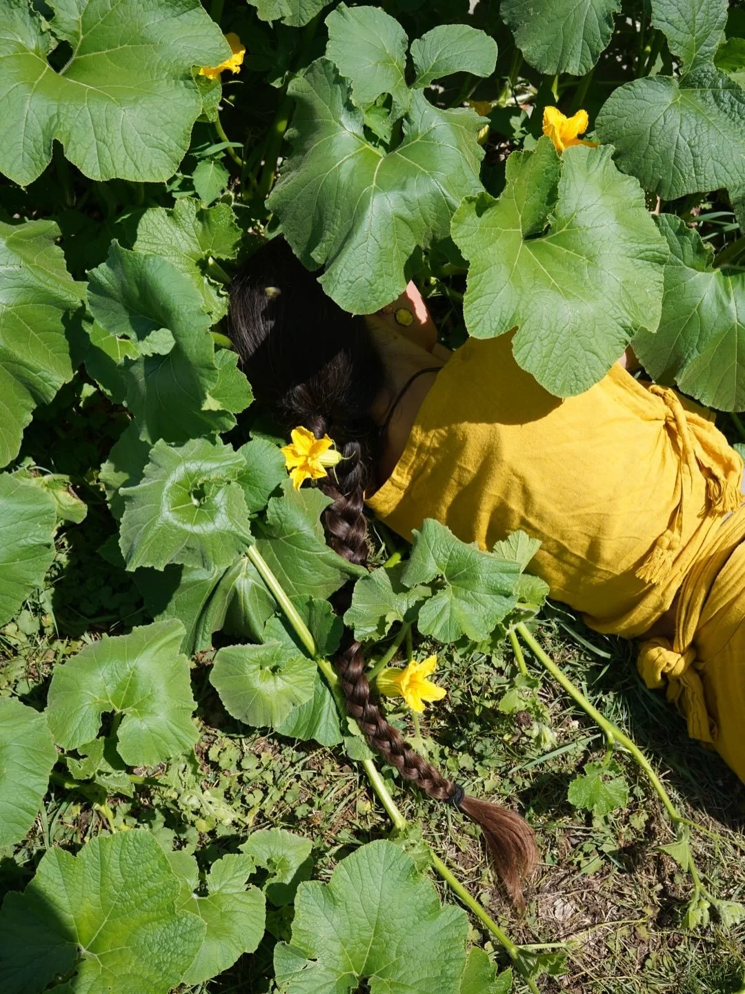 leaving the gardens to offer some upcoming workshops and gatherings! 👀

The Secrets of Alchemy &amp; Yoga Weekend Retreat: a look at healing through the eyes of the mystics with @returntonature: 9/6-9/7

Telepathy Training in Nature Workshop with @r