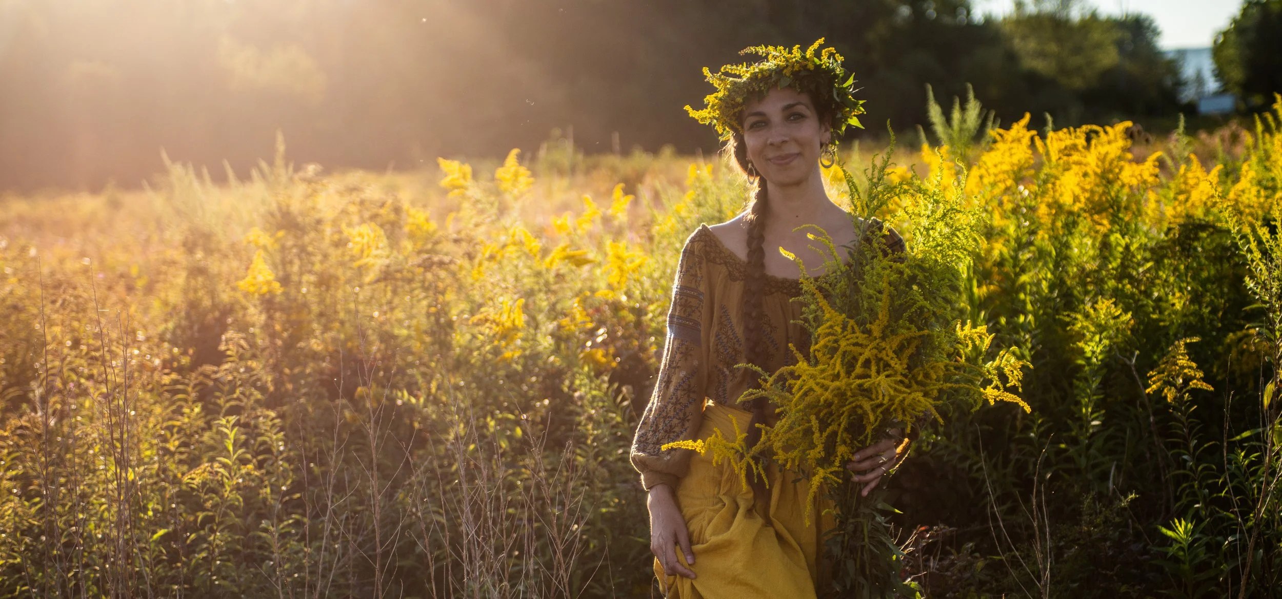 Goldenrod Workshop: Color, Medicine & Season’s Turning