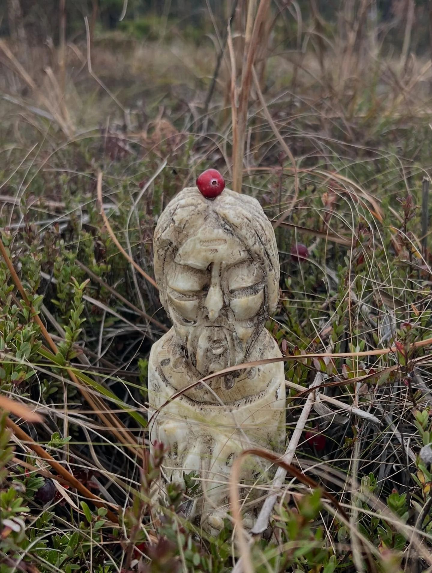 Been busy gathering autumn fruits and berries! My ol&rsquo; Codger (now officially a resident of NY🥳🎉) has been helping me forage and its been so nice walking the land with him again after all these years. 

@returntonature gathered wild beach plum