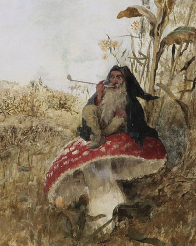 Journeying with the Fly Agaric: Amanita Dreaming Weekend + Ceremony