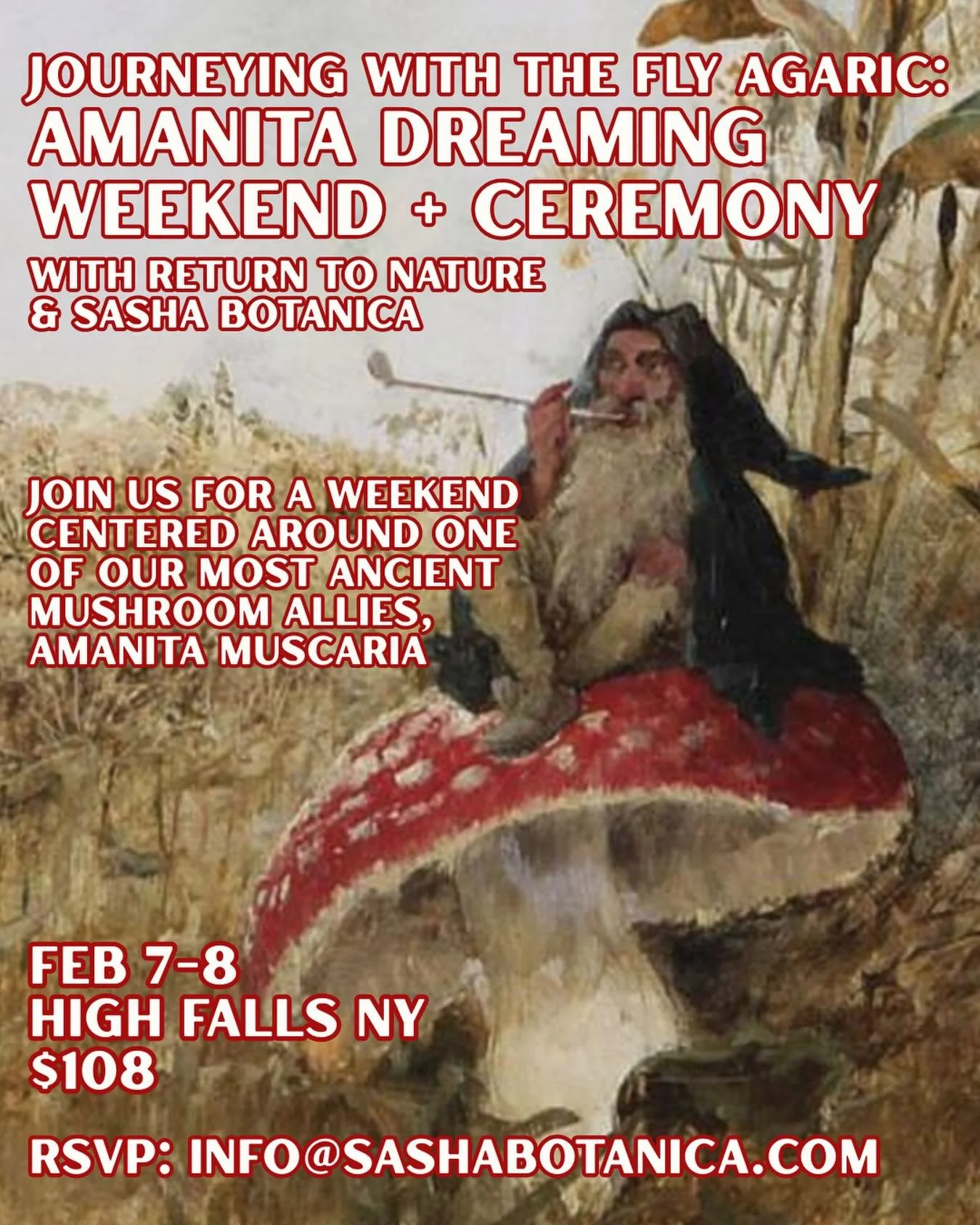 Join us for a weekend centered around one of our most ancient mushroom allies, Amanita muscaria. This ancient, profound mushroom has a long, well-documented history connected to dreaming, altered states of consciousness and is considered one of the e