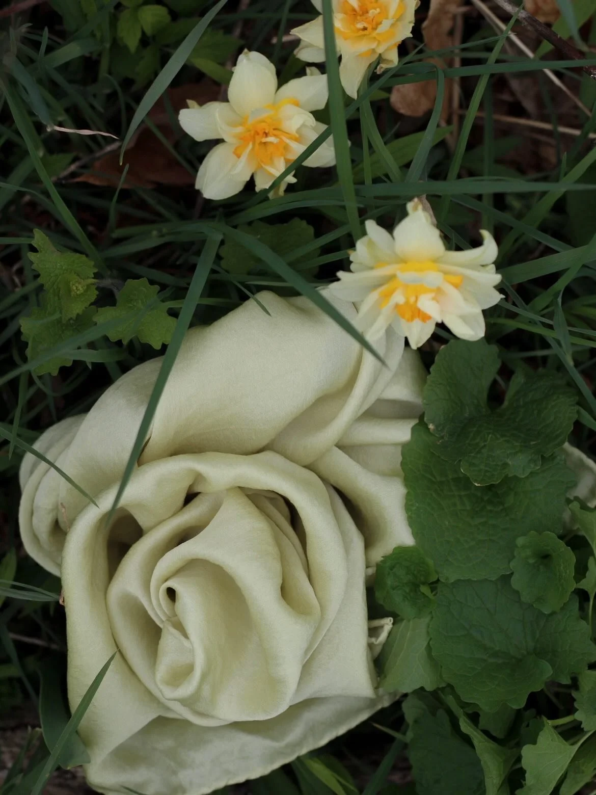 The Waxing Moon : Ritual Silk Dyeing &mdash; April 12th in Wallkill 🔗 in our bio

The second gathering in our Body As Moon series follows the waxing moon lifting from darkness, mirroring the early days after bleeding when the body begins to build ag
