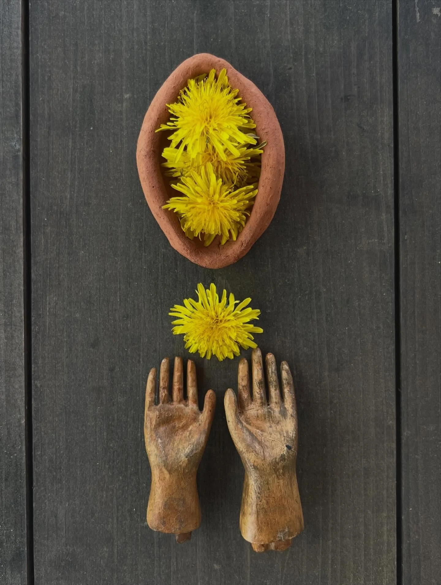Luminous Nectar : Floral Syrup Making - May 17th in Highfalls NY 🔗 in our bios 🌕🌸

The third gathering of our Body as Moon series centers on ovulation &amp; full moon&mdash;the peak of the cycle where energy rises, ripens, and turns outward, just 