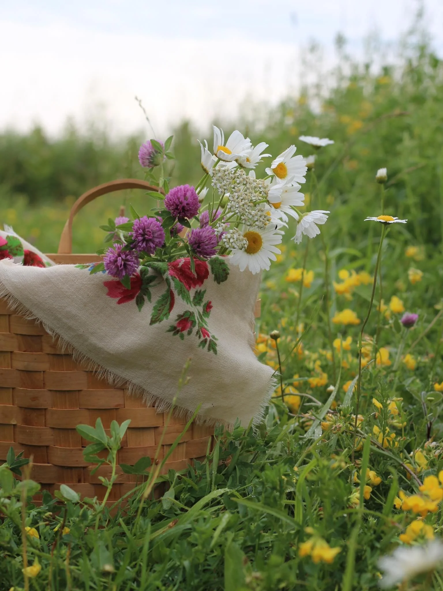Herbal Spa Day: Rose Clay Face Mask, Hydrosol Making &amp; Embracing The Ageing Body
June 14th in High Falls NY
Link in our bios to sign up!

The final gathering of our Body As Moon series turns toward the luteal phase, the waning season of the cycle