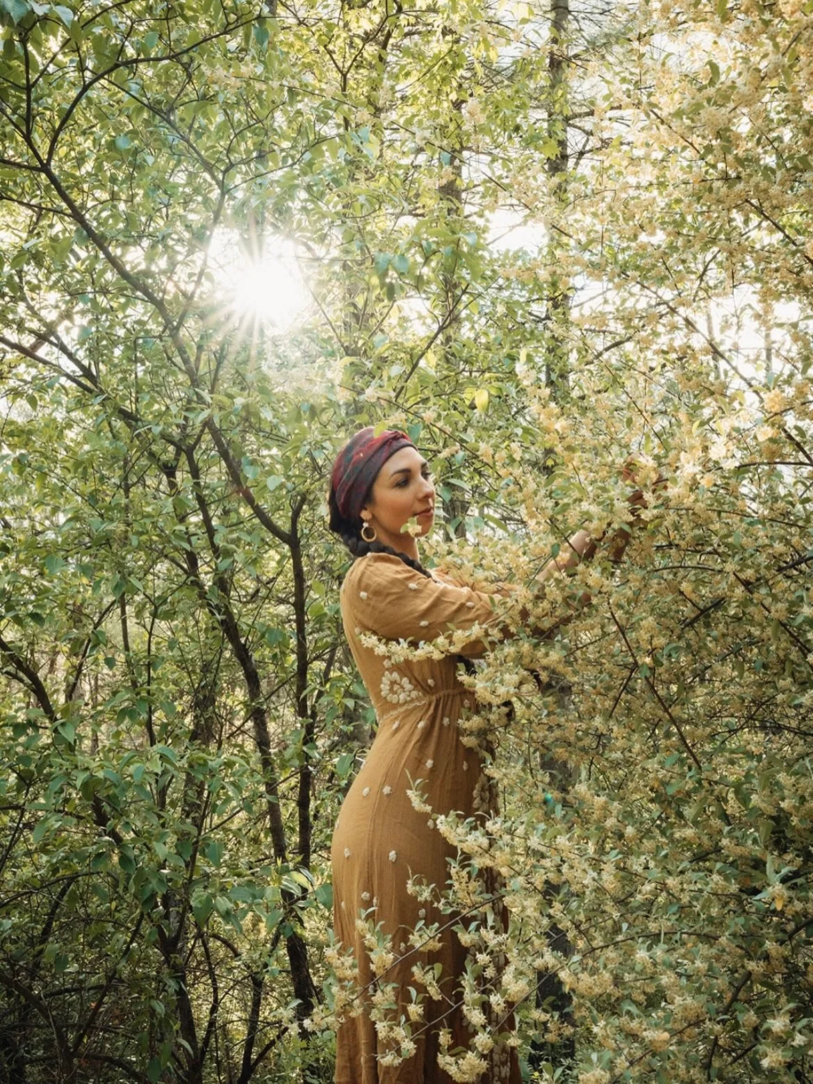 My favorite month is here! The lengthening days, the elderflower soon to bloom, roses are opening, gardens are filling in, the landscape feels generous. 

At the heart of the month stands the summer solstice, one of the great turning points of the ye