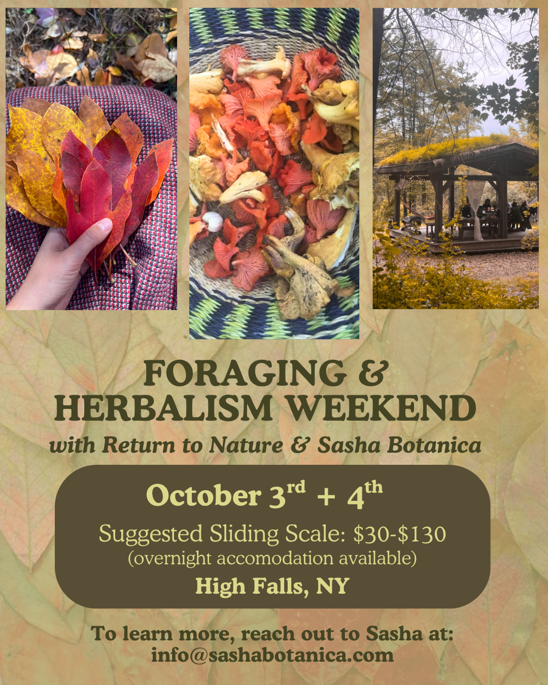 Herbalism and Foraging Weekend in High Falls NY