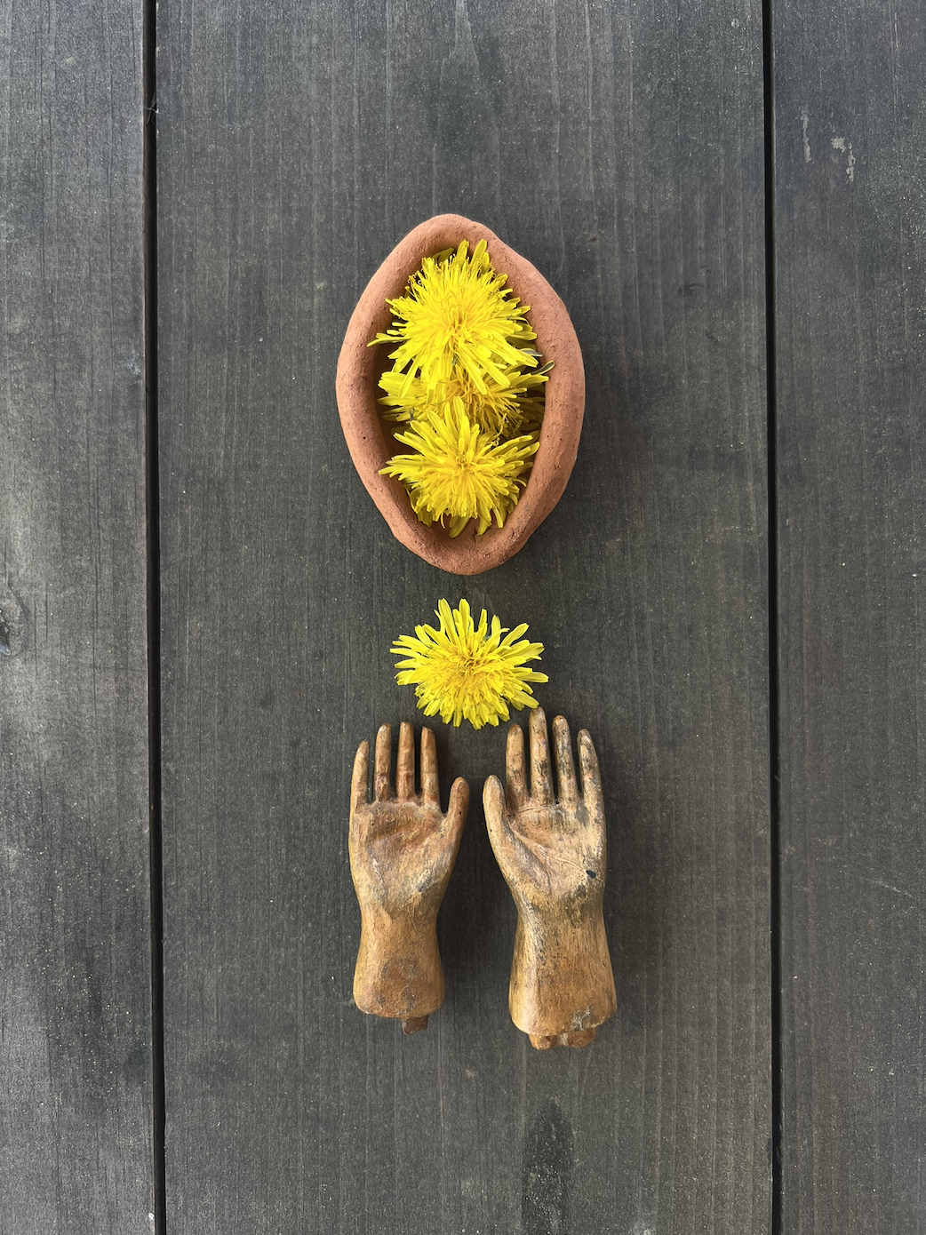 The Full Moon: Luminous Nectar - Floral Syrup Making Workshop