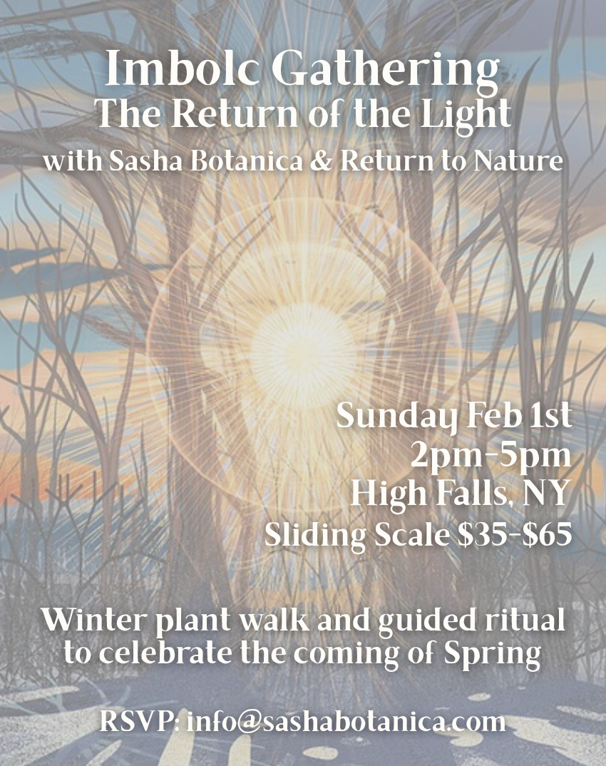 Screen Shot 2026-01-13 at 3.46.46 PM.png