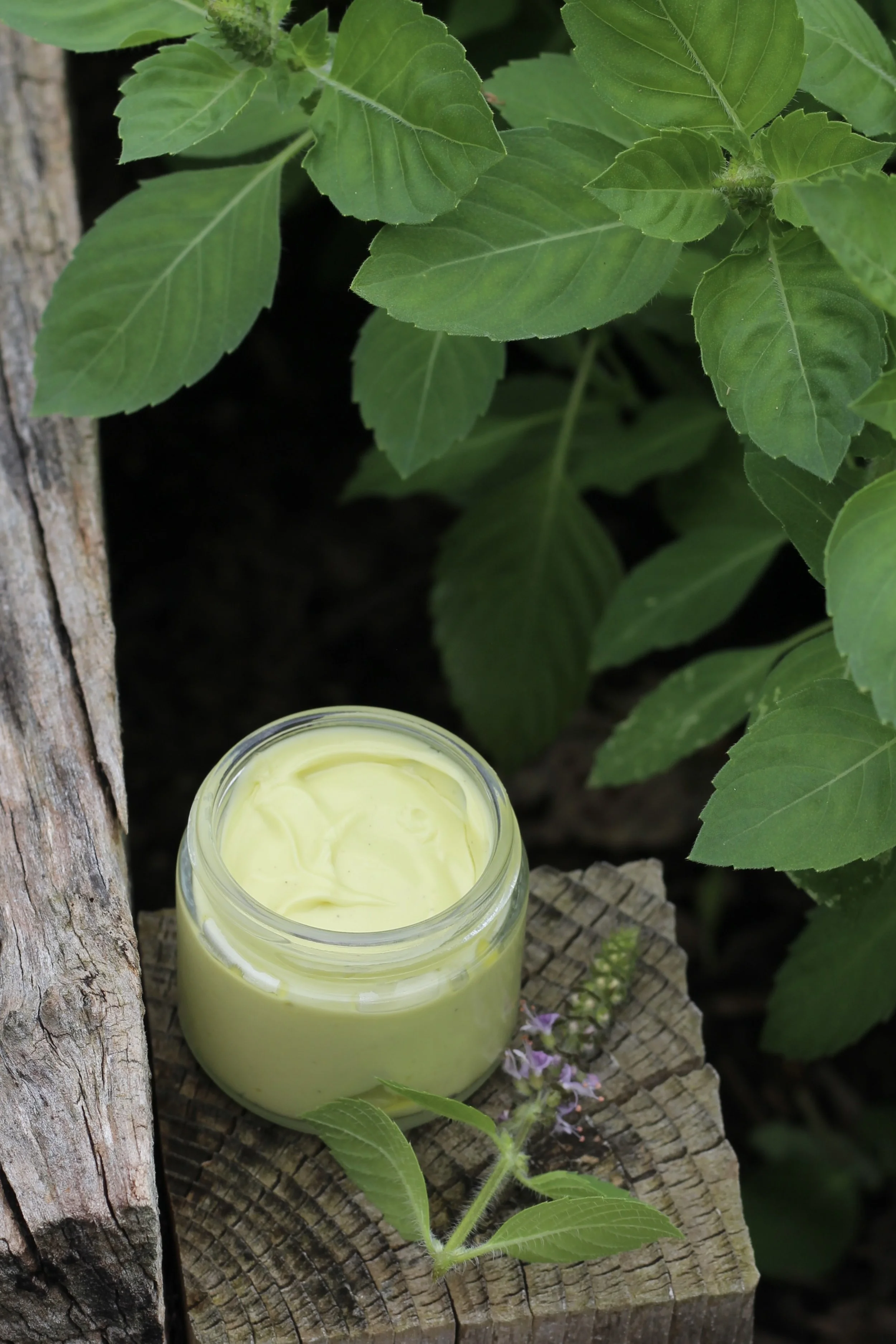Tulsi Body Cream