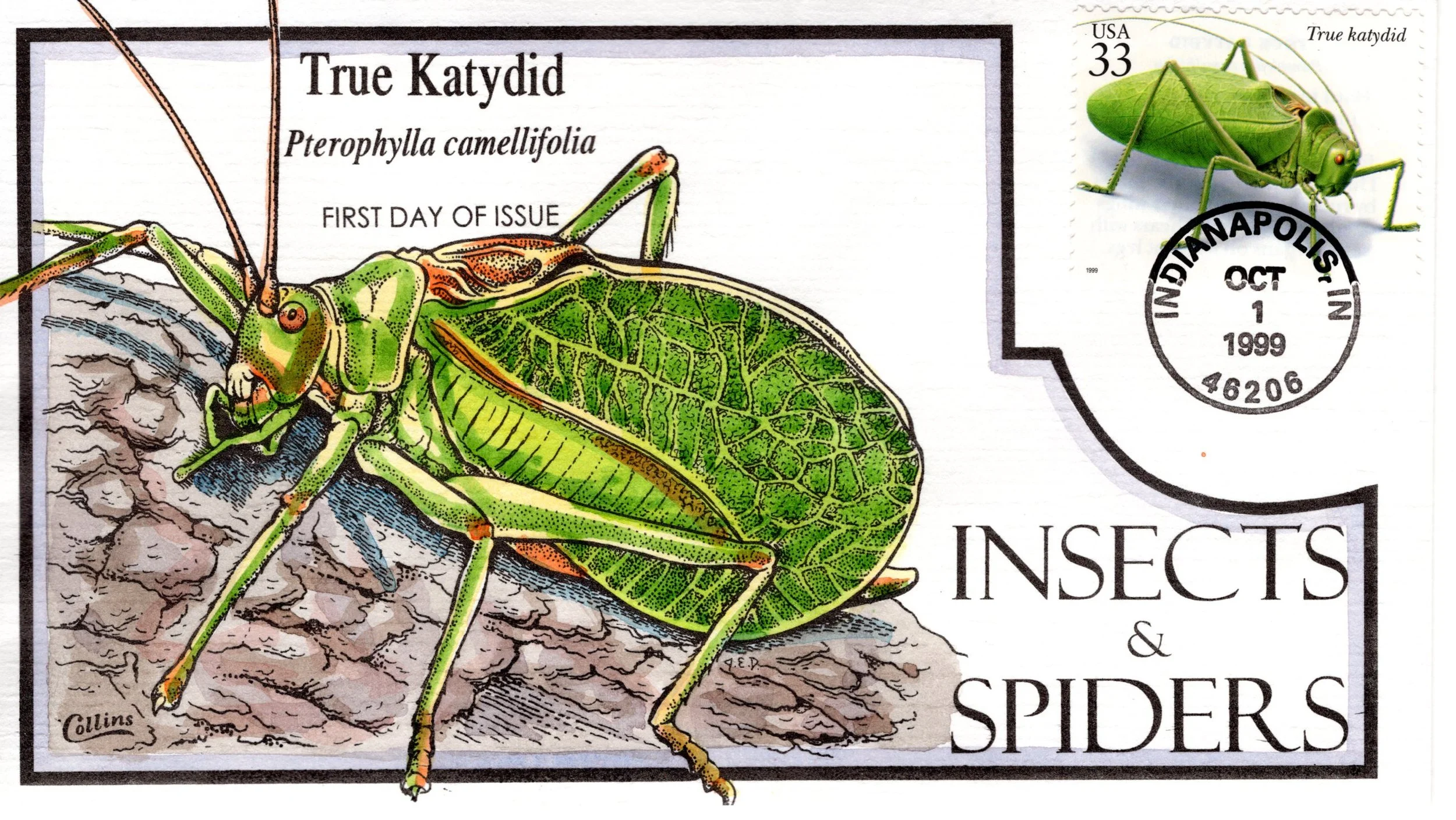 insetsspiders005.jpg