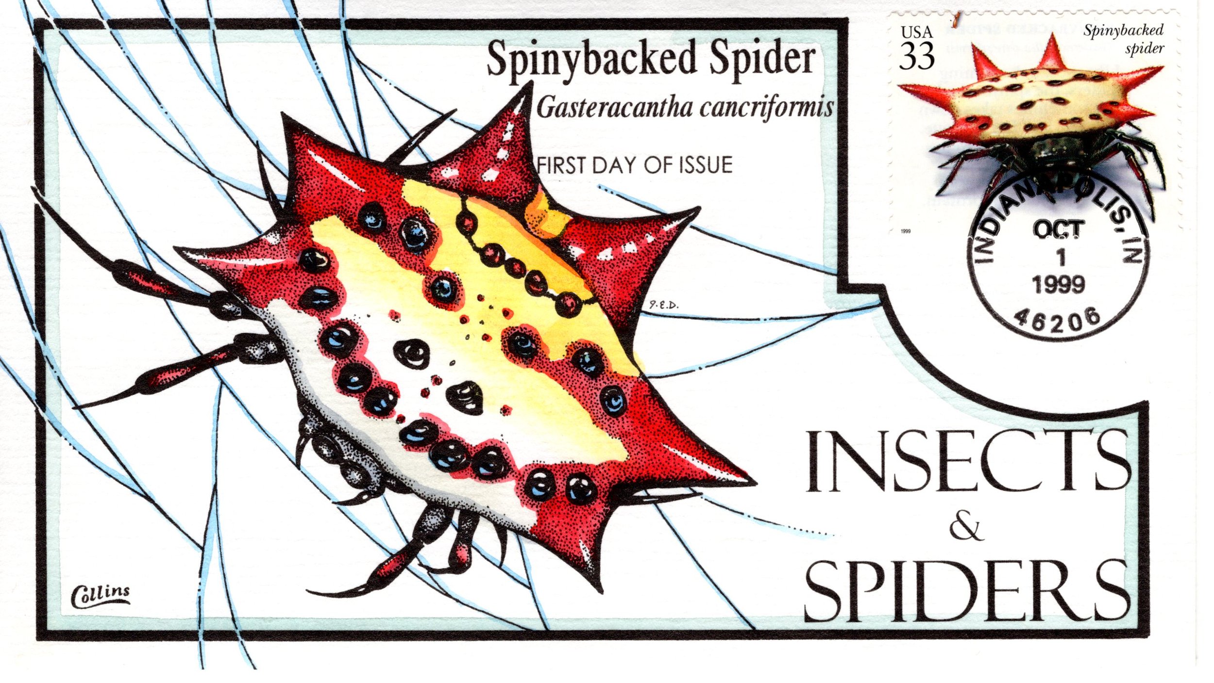 insetsspiders004.jpg