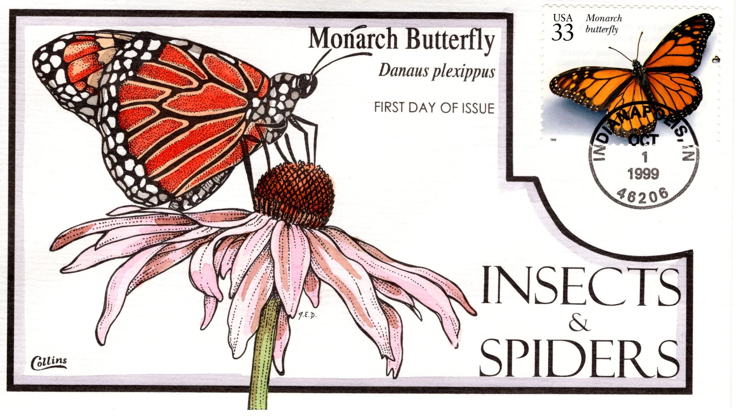 insetsspiders010.jpg
