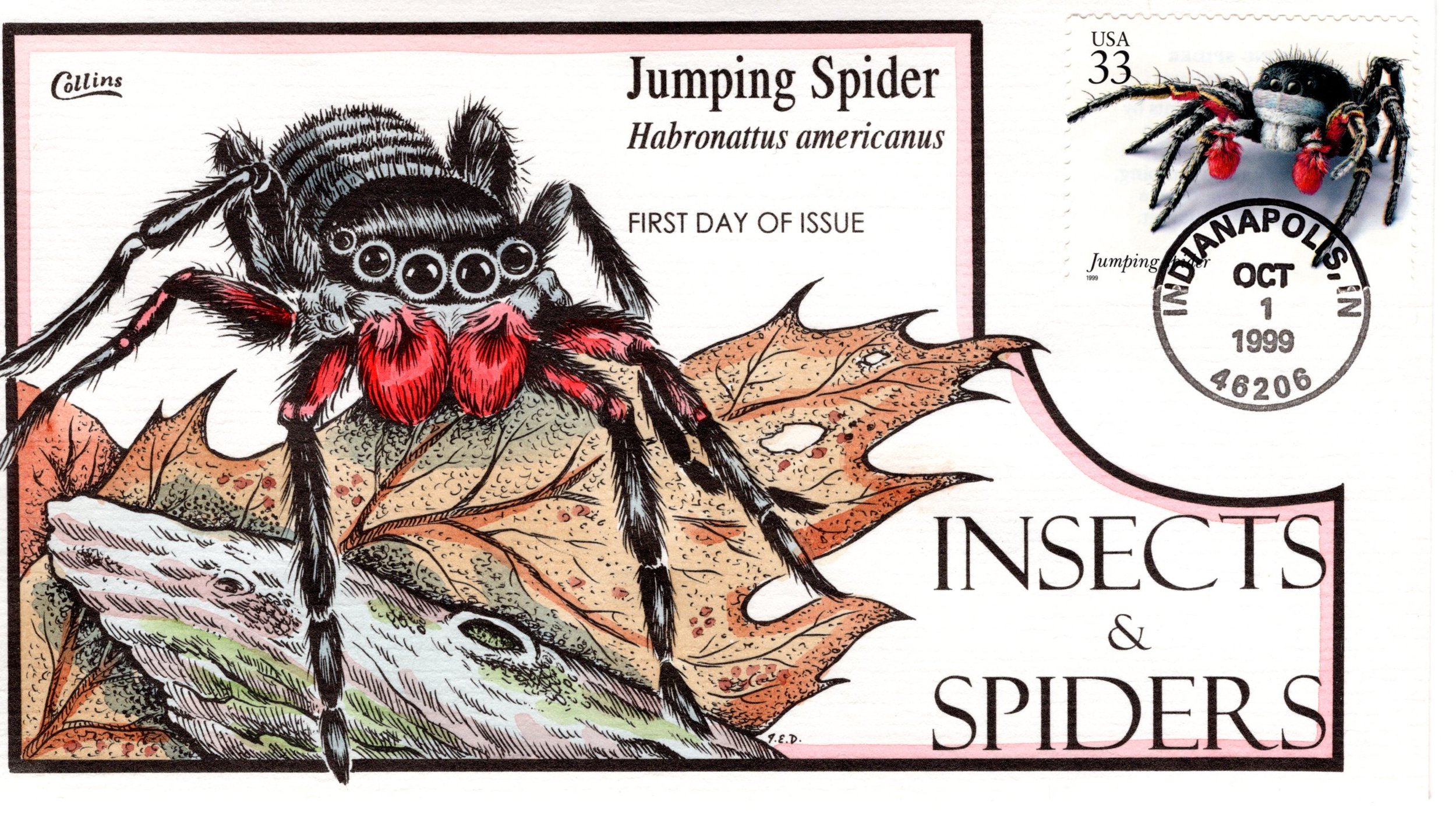 insetsspiders001.jpg