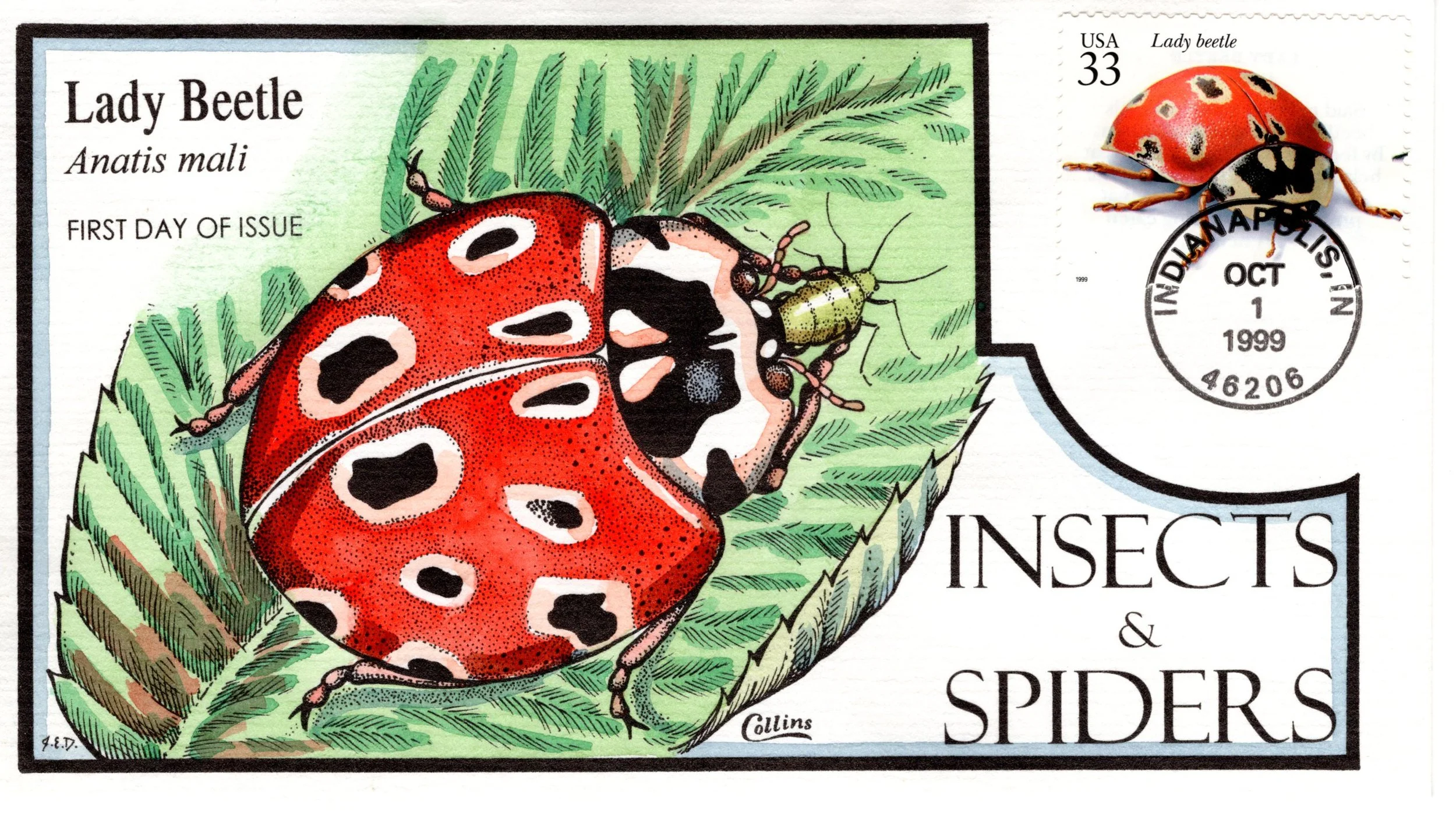 insetsspiders018.jpg