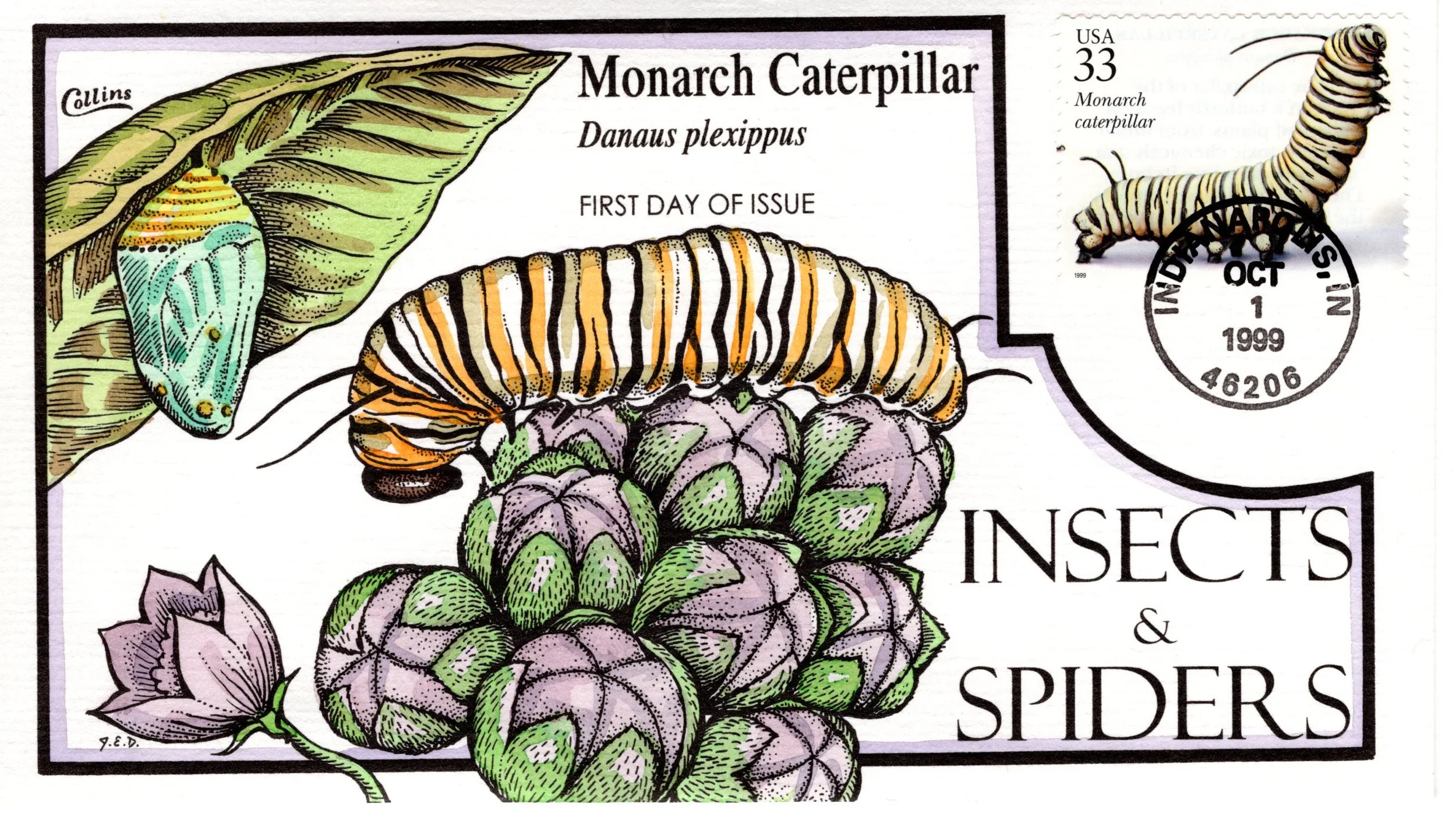 insetsspiders011.jpg