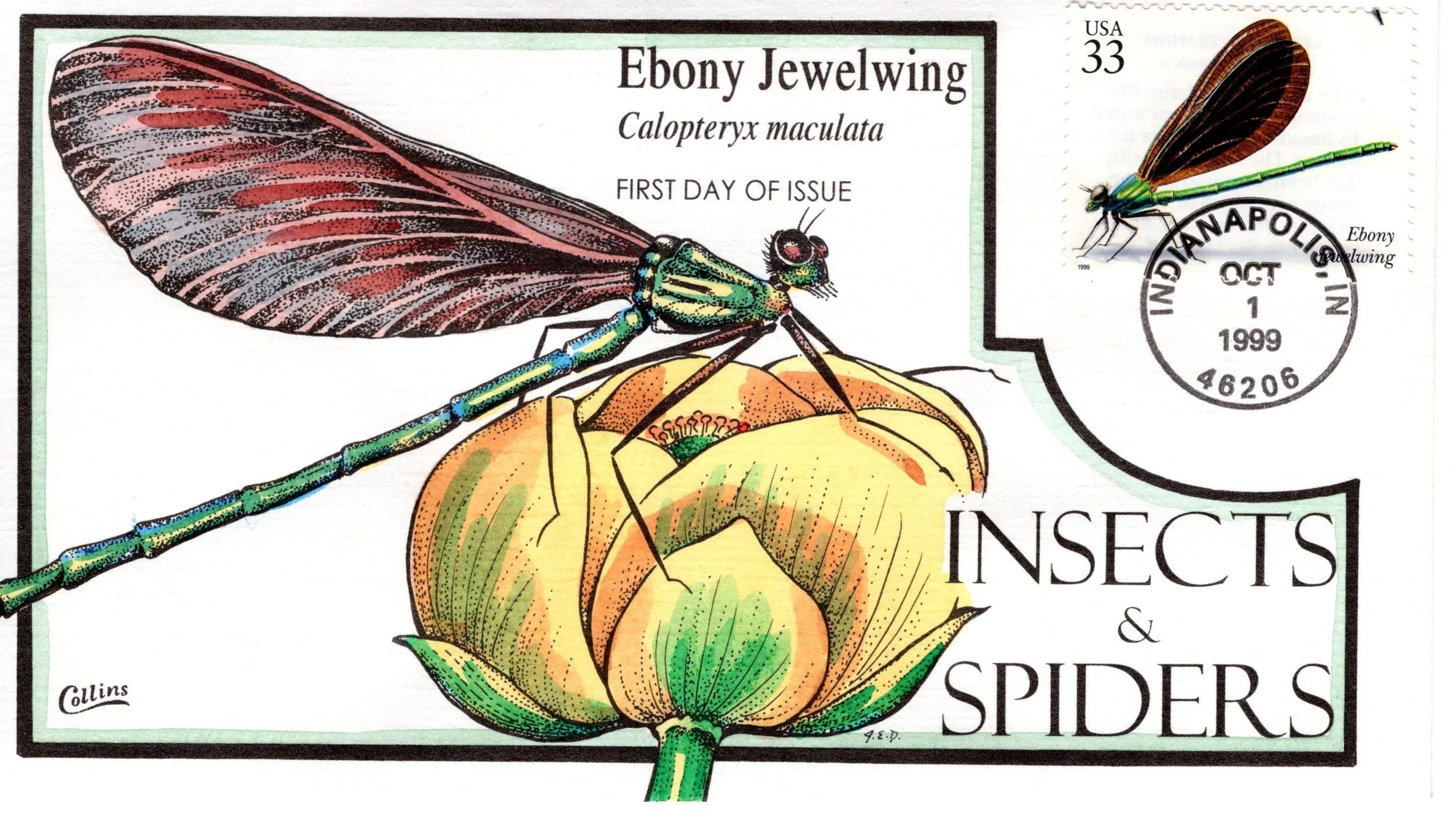 insetsspiders013.jpg