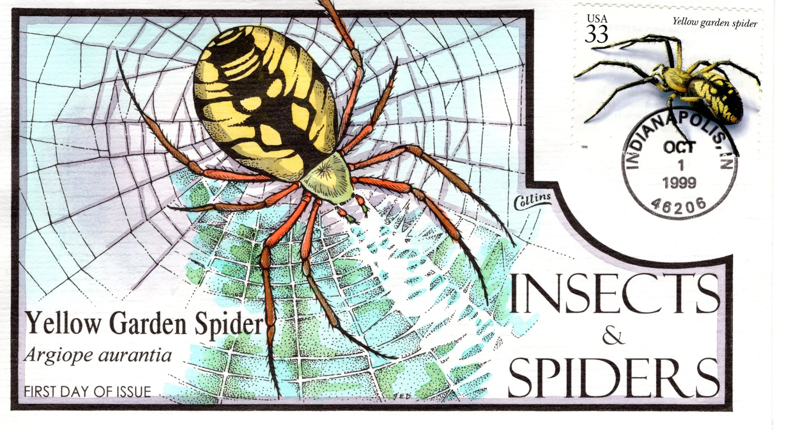 insetsspiders017.jpg