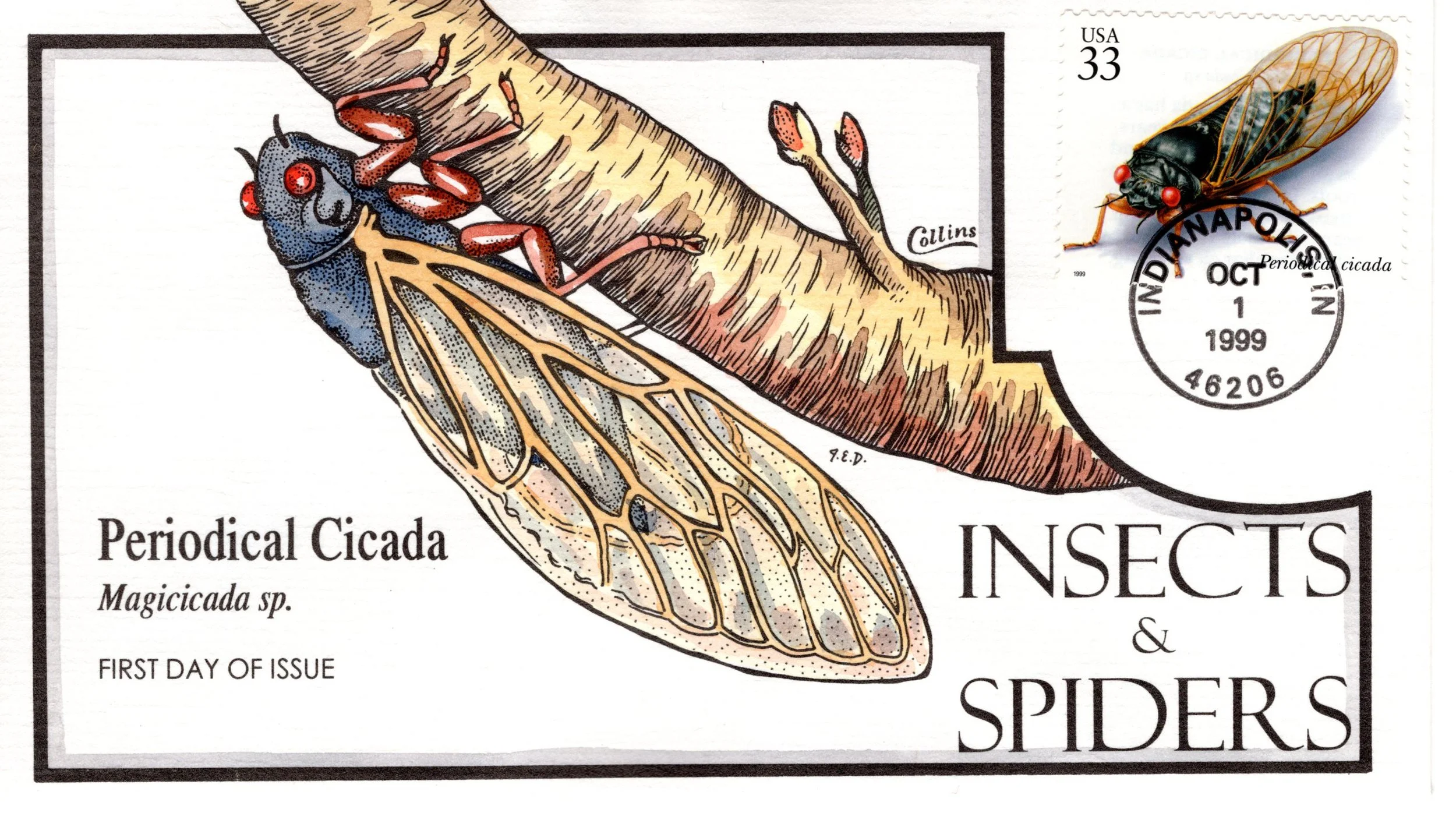 insetsspiders003.jpg
