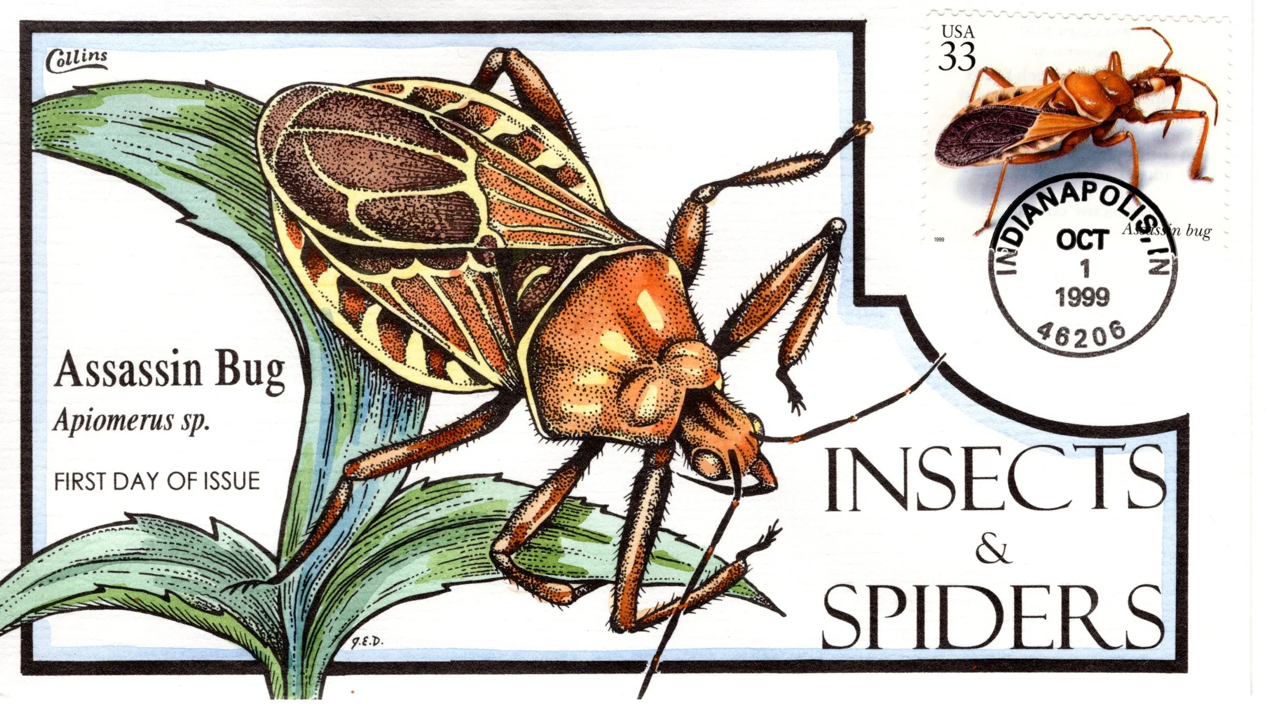insetsspiders014.jpg