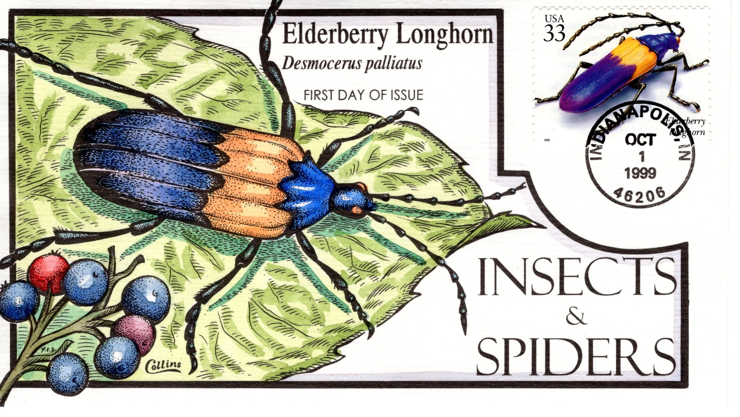 insetsspiders019.jpg