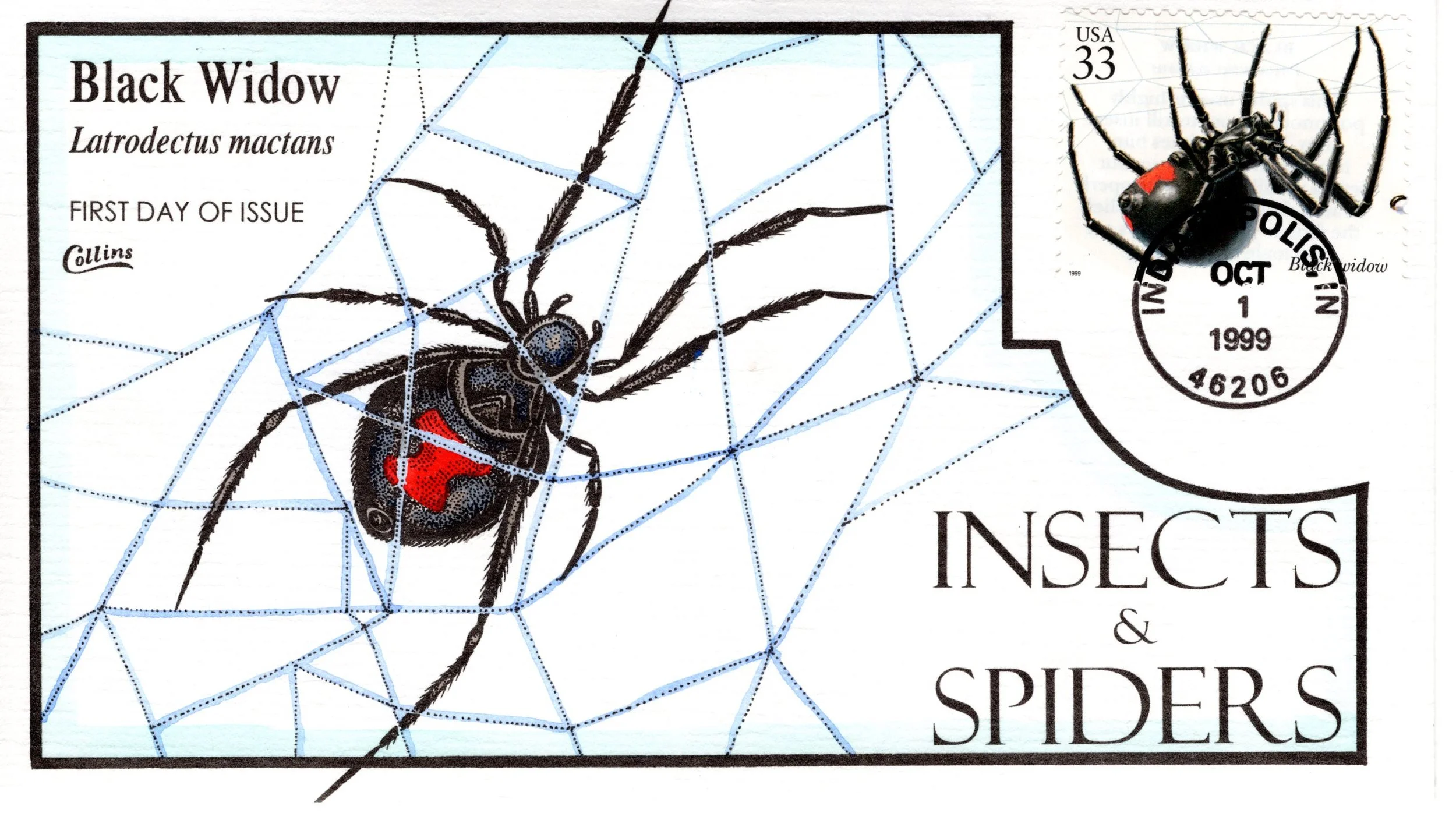 insetsspiders020.jpg