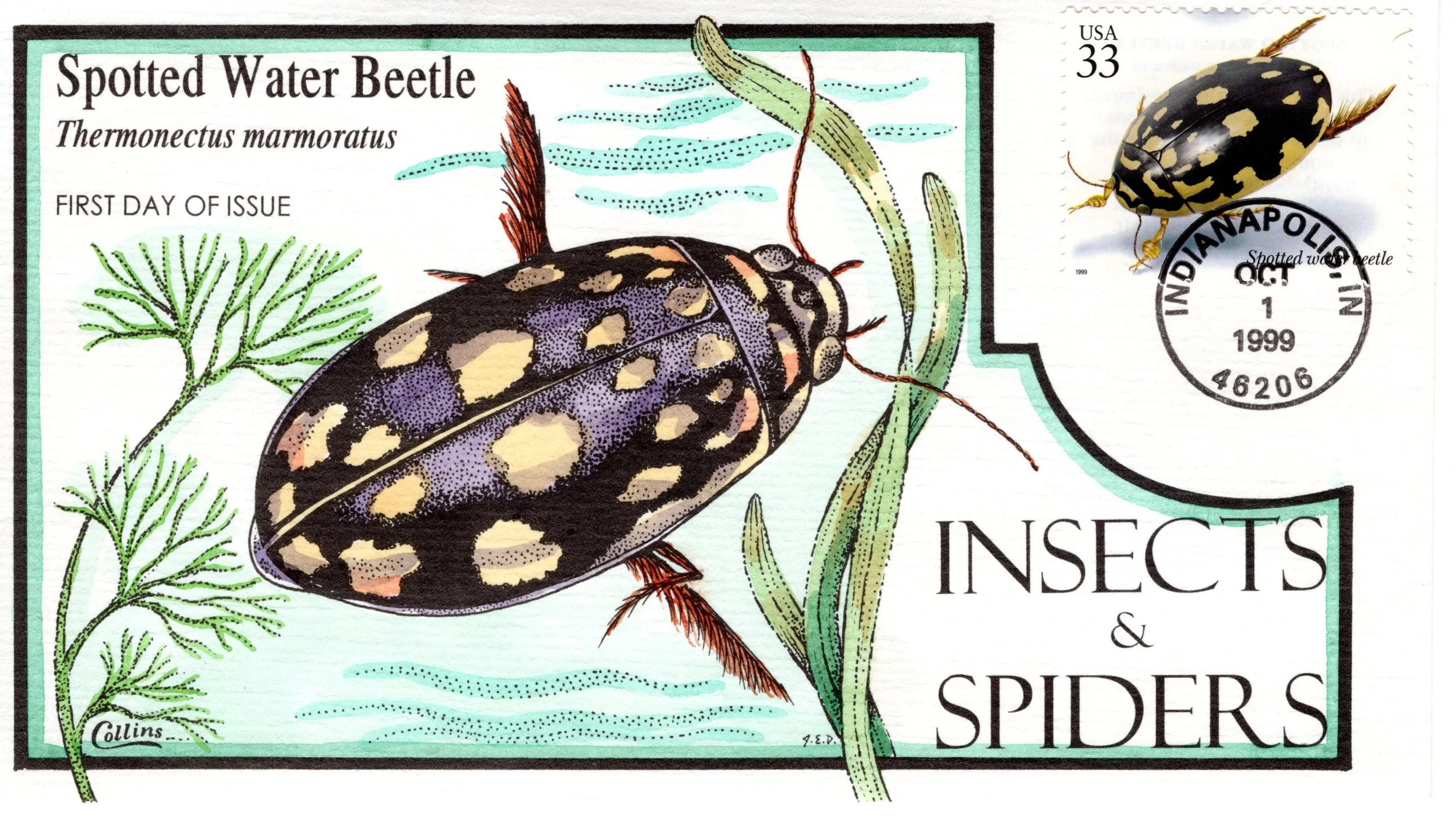 insetsspiders006.jpg