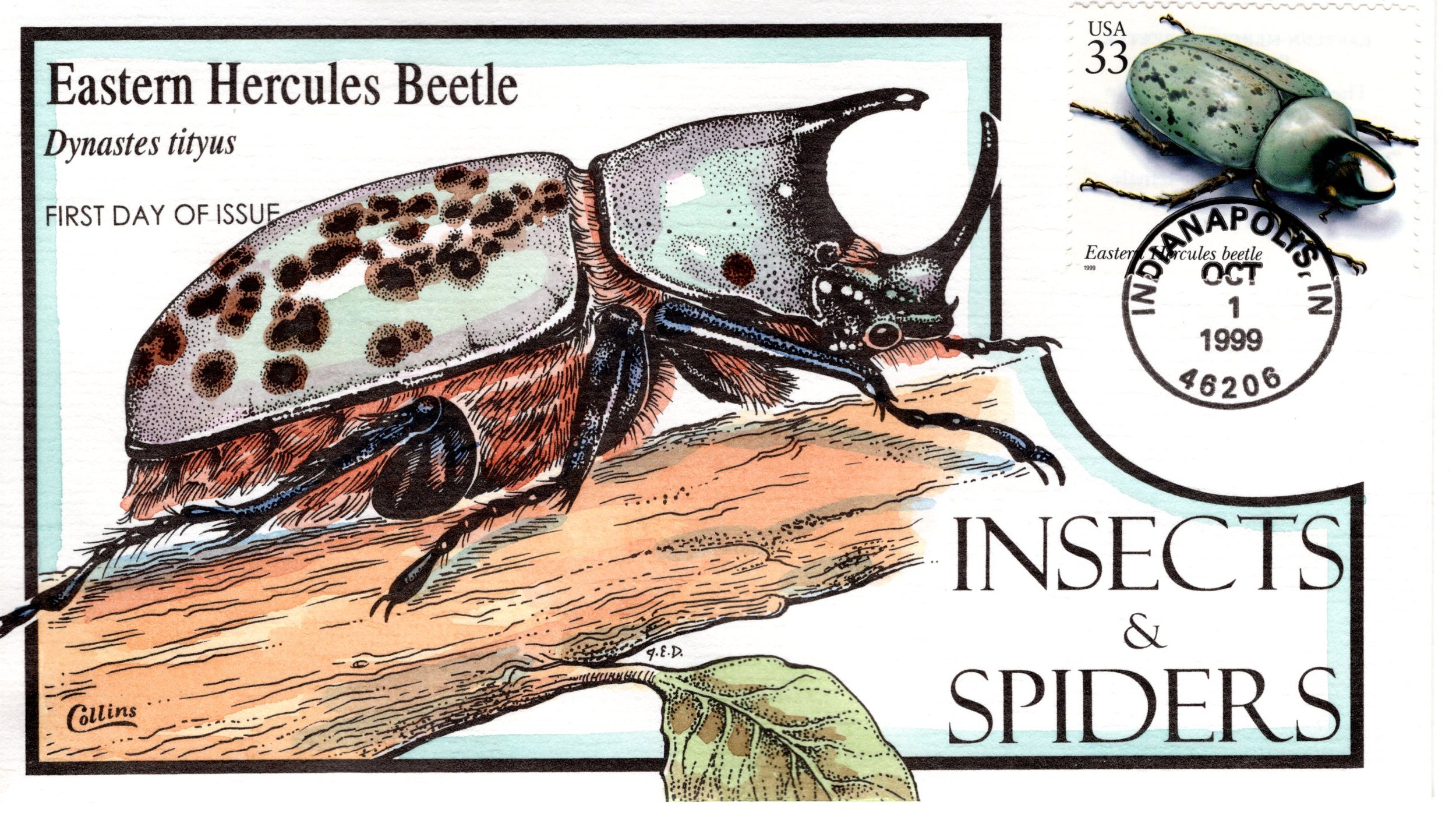 insetsspiders009.jpg