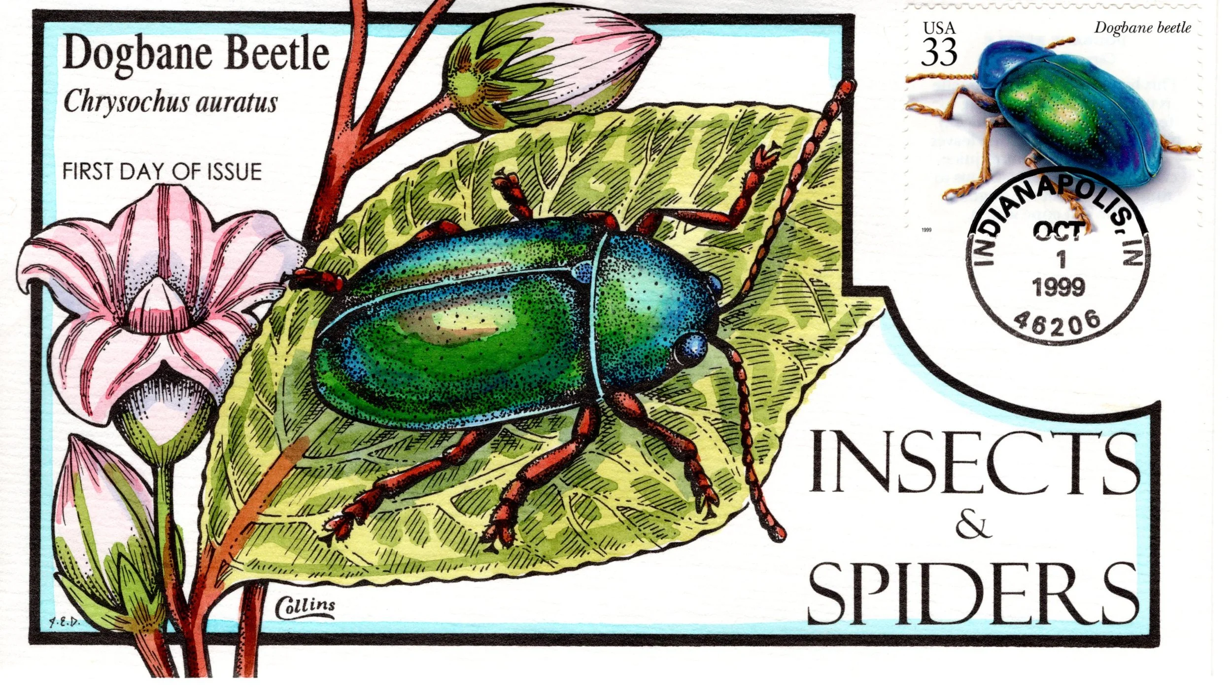 insetsspiders016.jpg