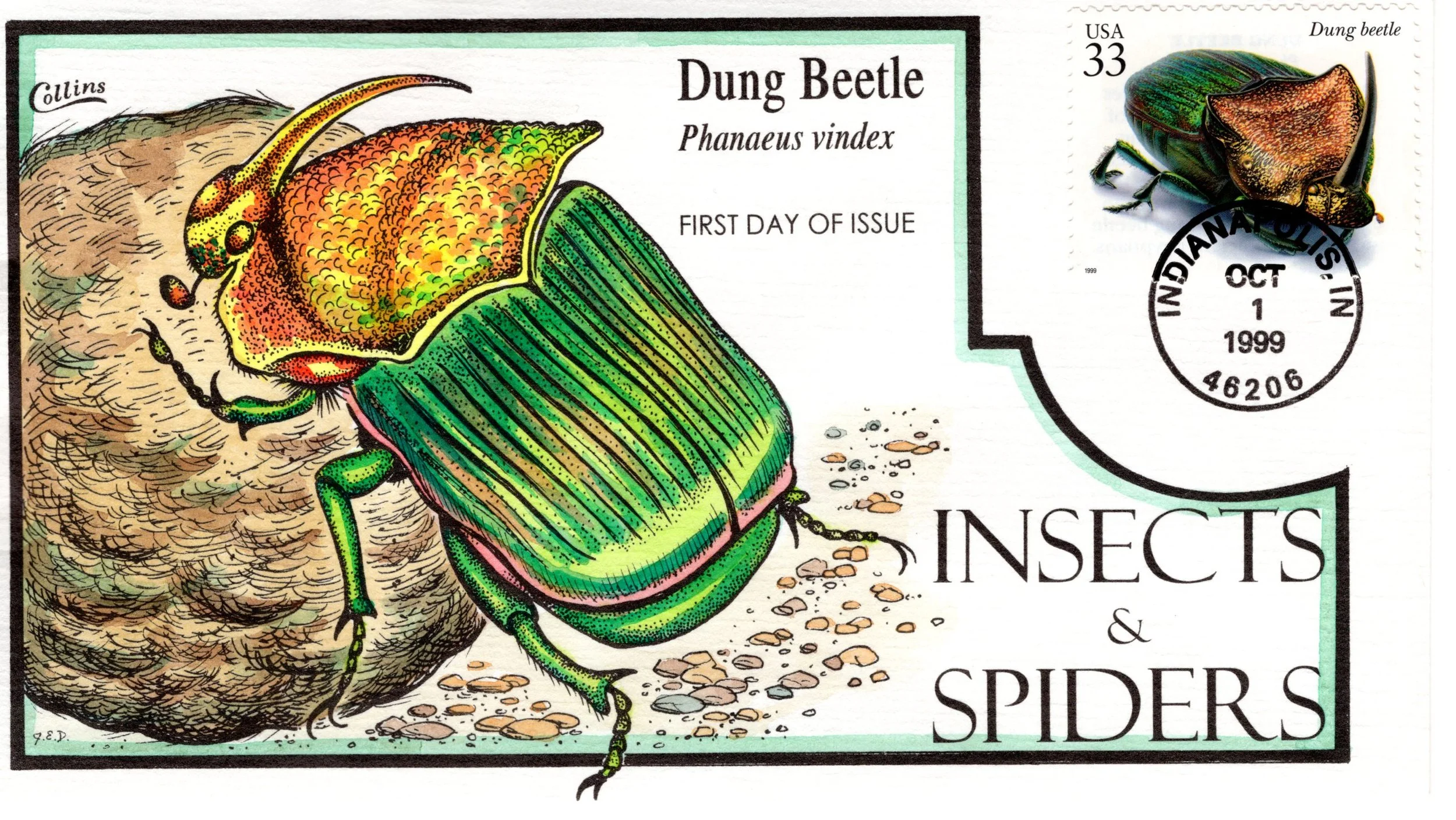 insetsspiders007.jpg