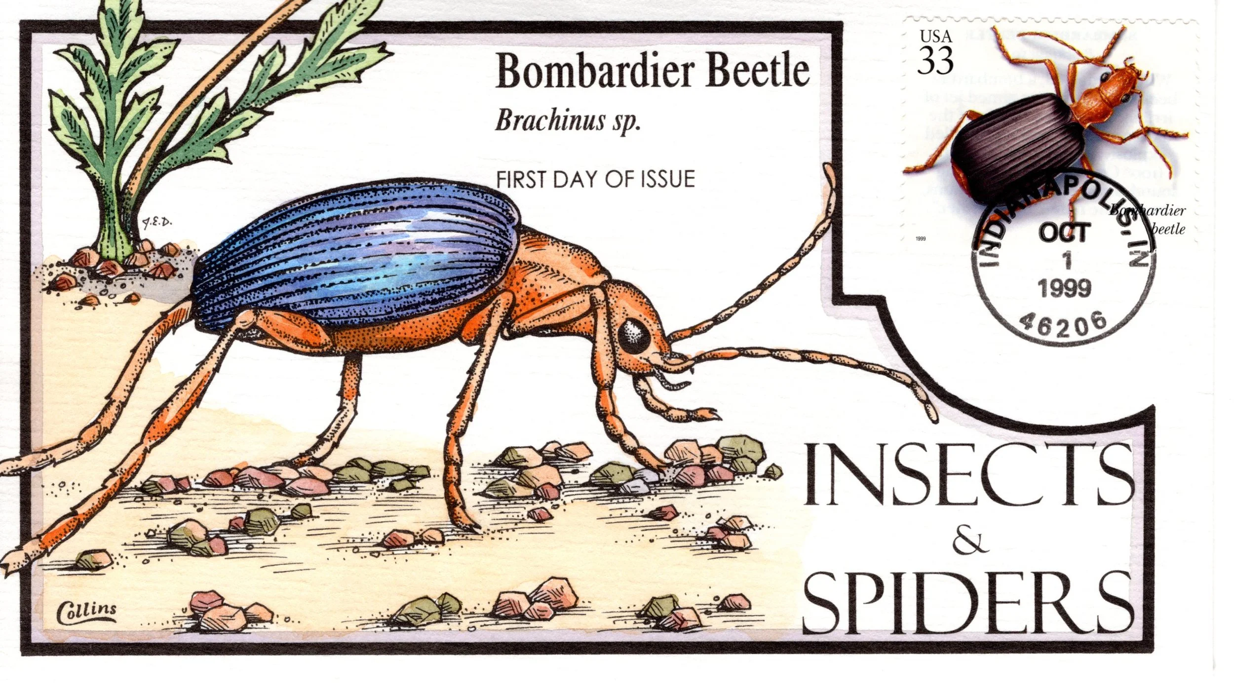 insetsspiders008.jpg