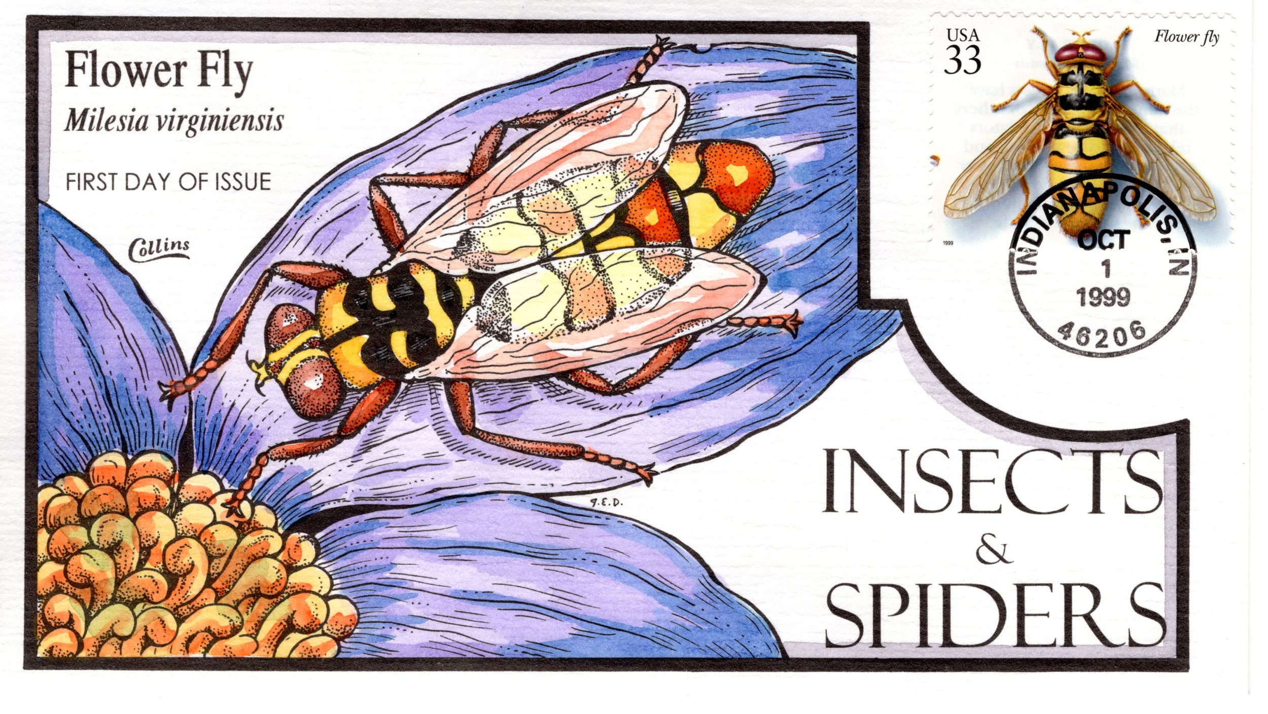insetsspiders015.jpg