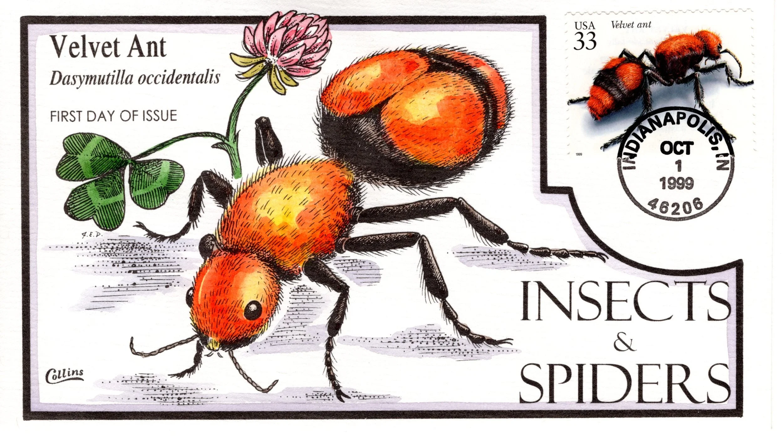 insetsspiders012.jpg