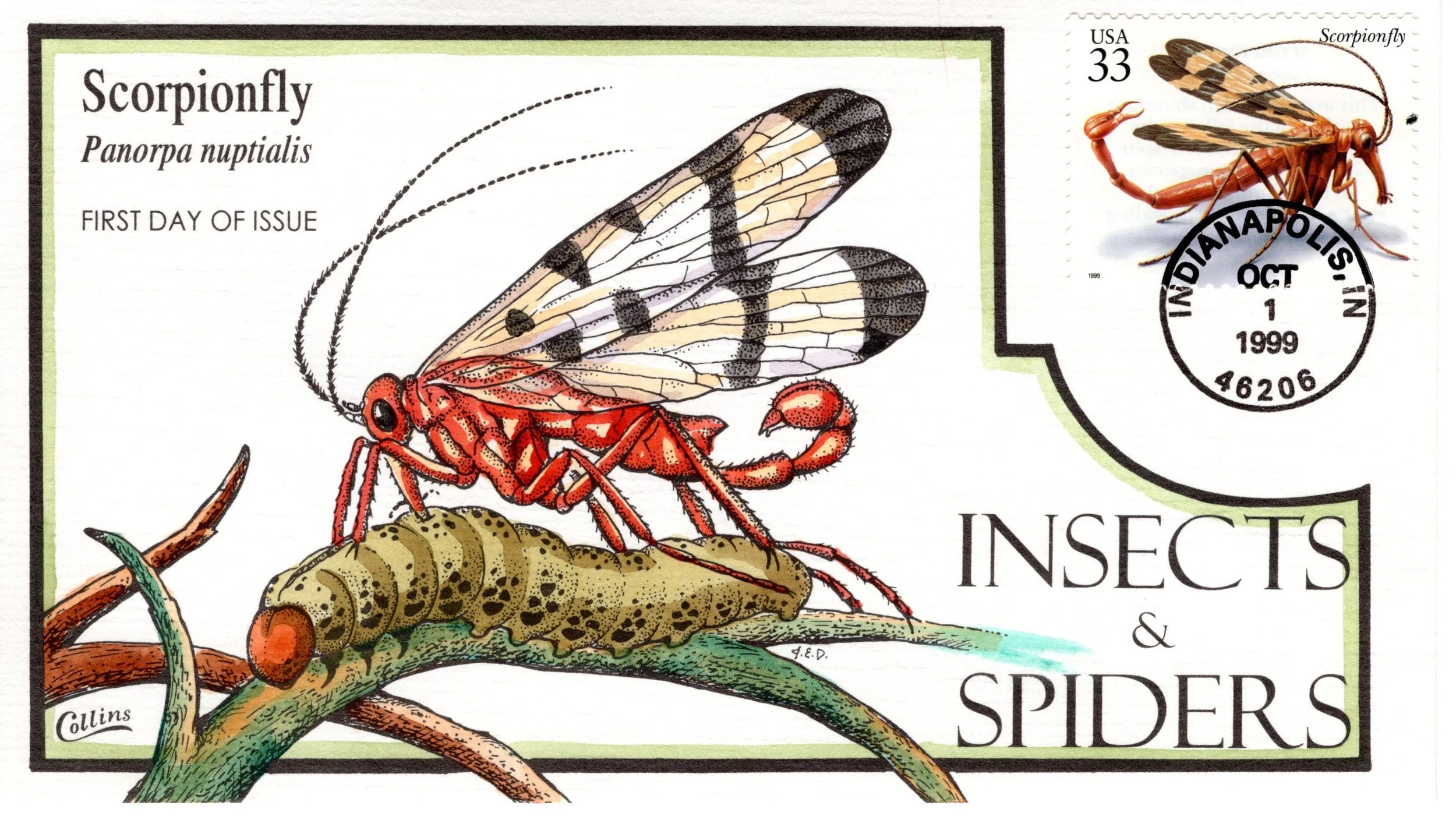 insetsspiders002.jpg