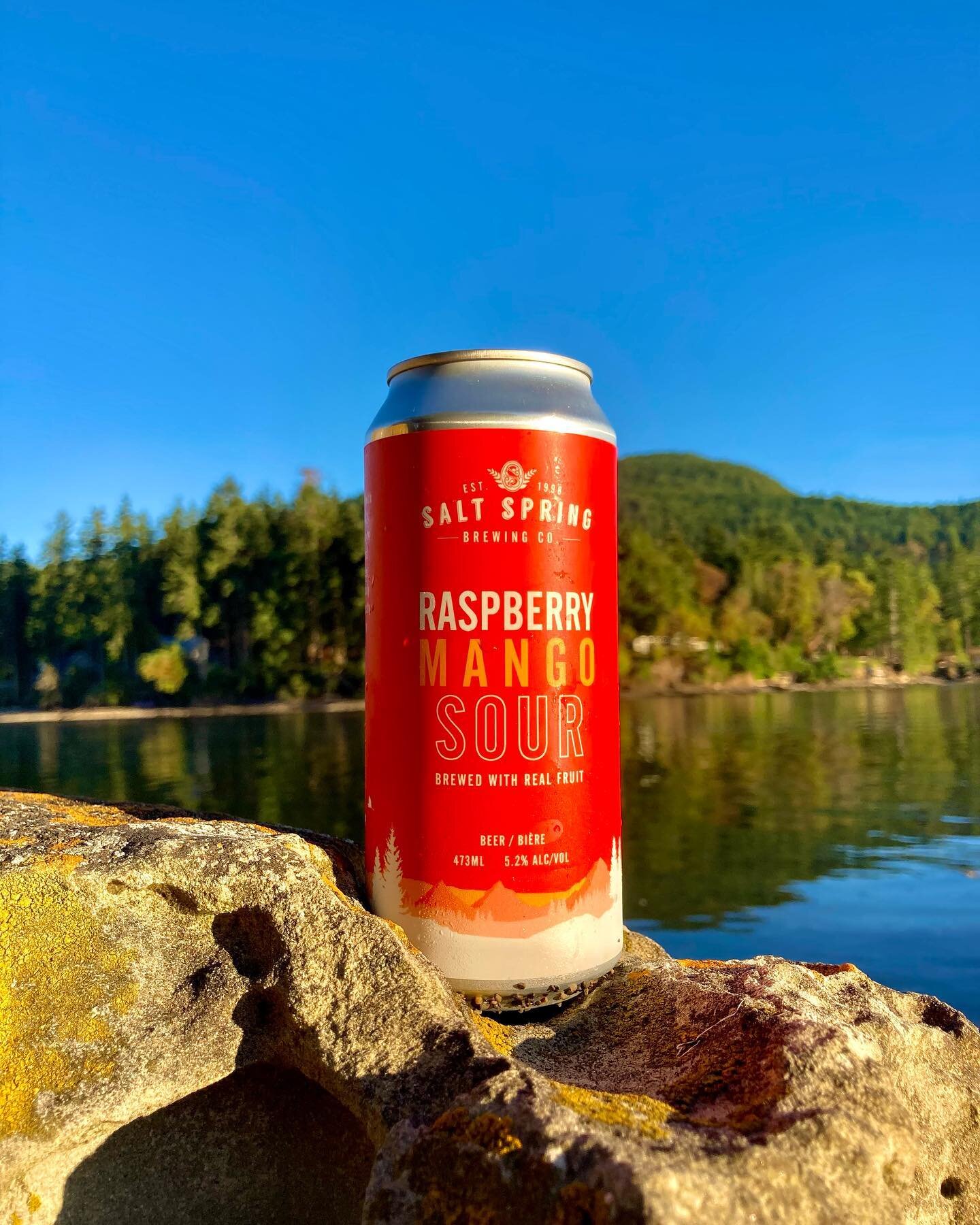The Sour at sunset! 

Where&rsquo;s your favourite place on Salt Spring to #drinkbeerwithnature ?? Taken on the beautiful Baker Beach just as the sun was beginning to set. 

The Raspberry Mango Sour is quickly becoming one of our most popular beers a